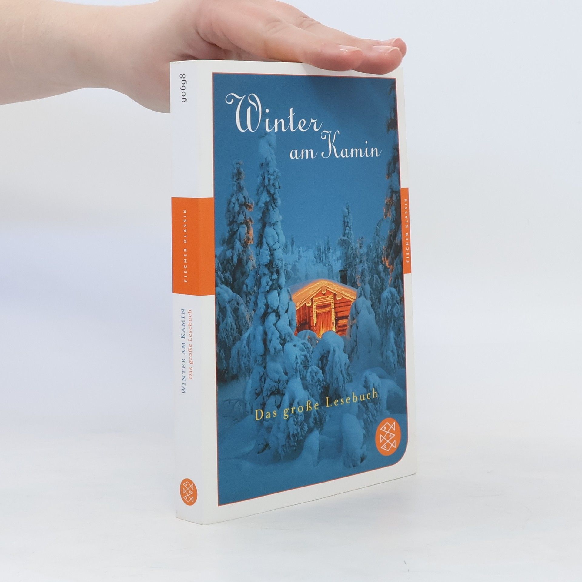 Julia Gommel-Baharov Winter am Kamin