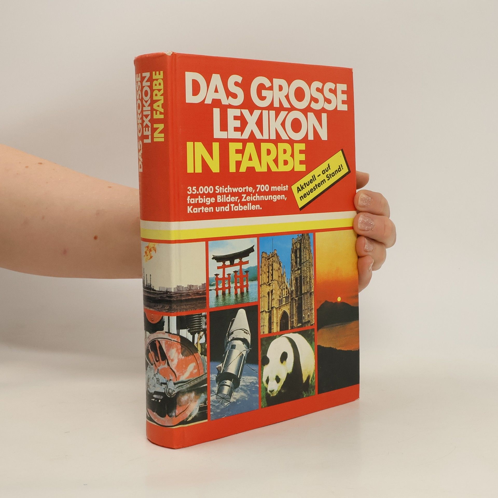 kolektiv Das grosse Lexikon in Farbe
