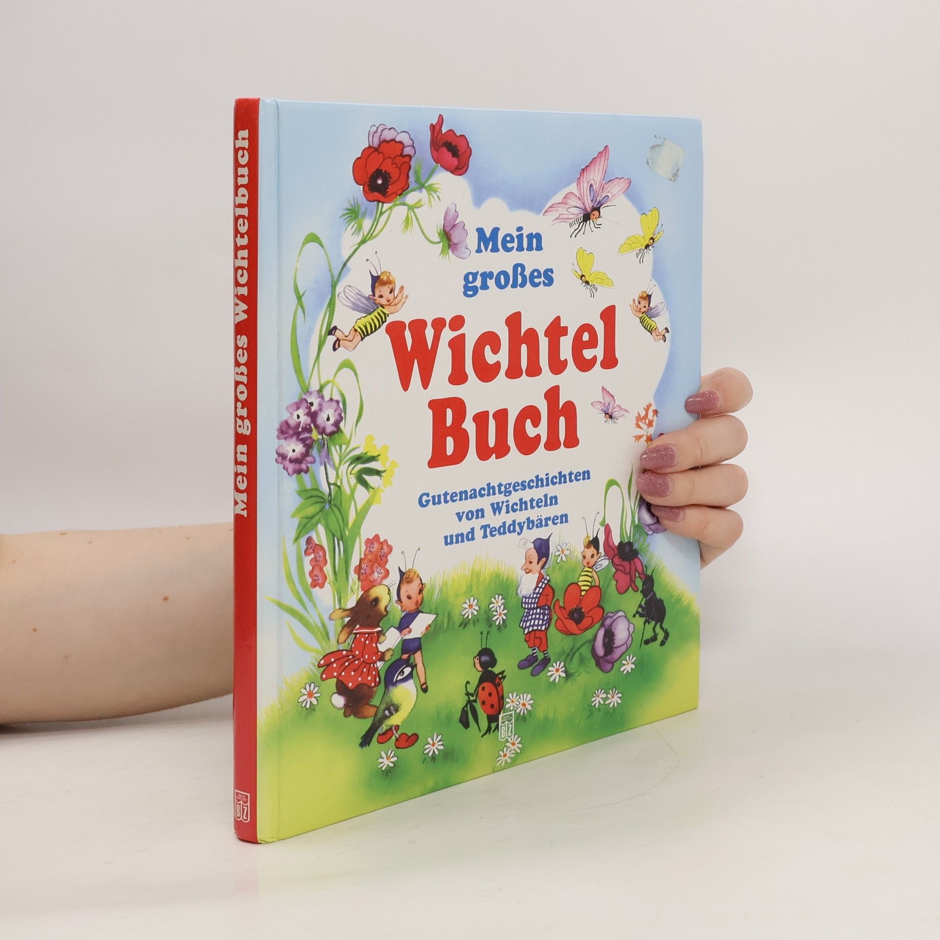 Collective Mein großes Wichtelbuch