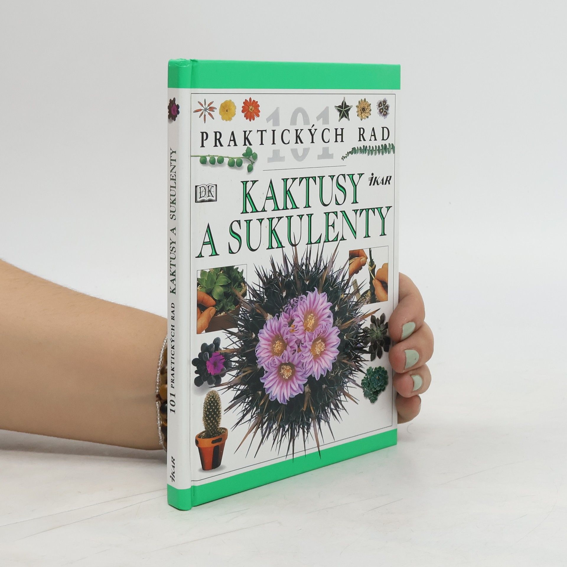 Hewitt Terry Kaktusy a sukulenty