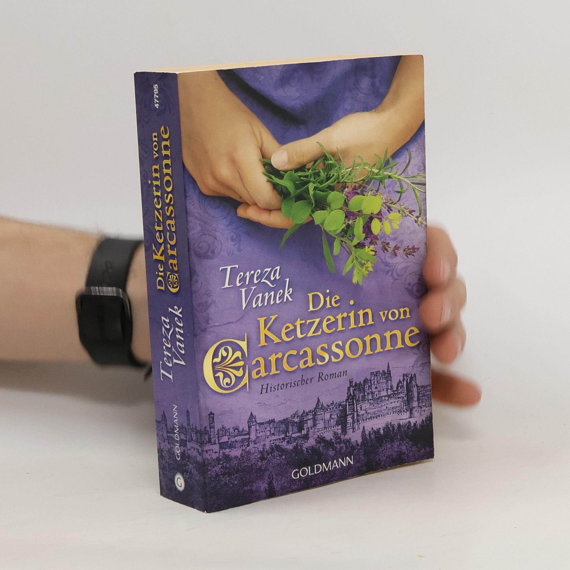 Tereza Vanek Die Ketzerin von Carcassonne