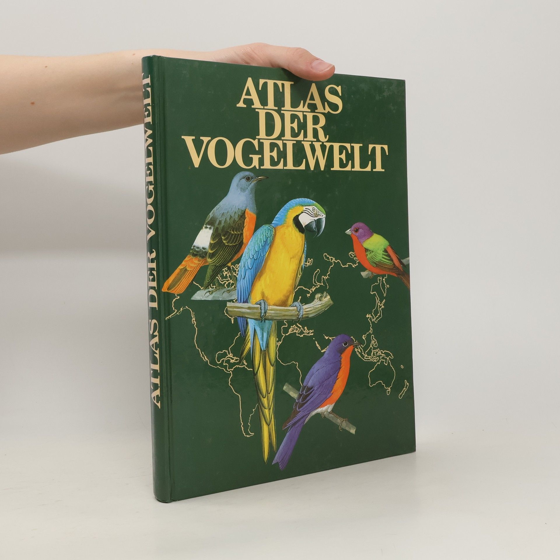 Goetz Rheinwald Atlas der Vogelwelt