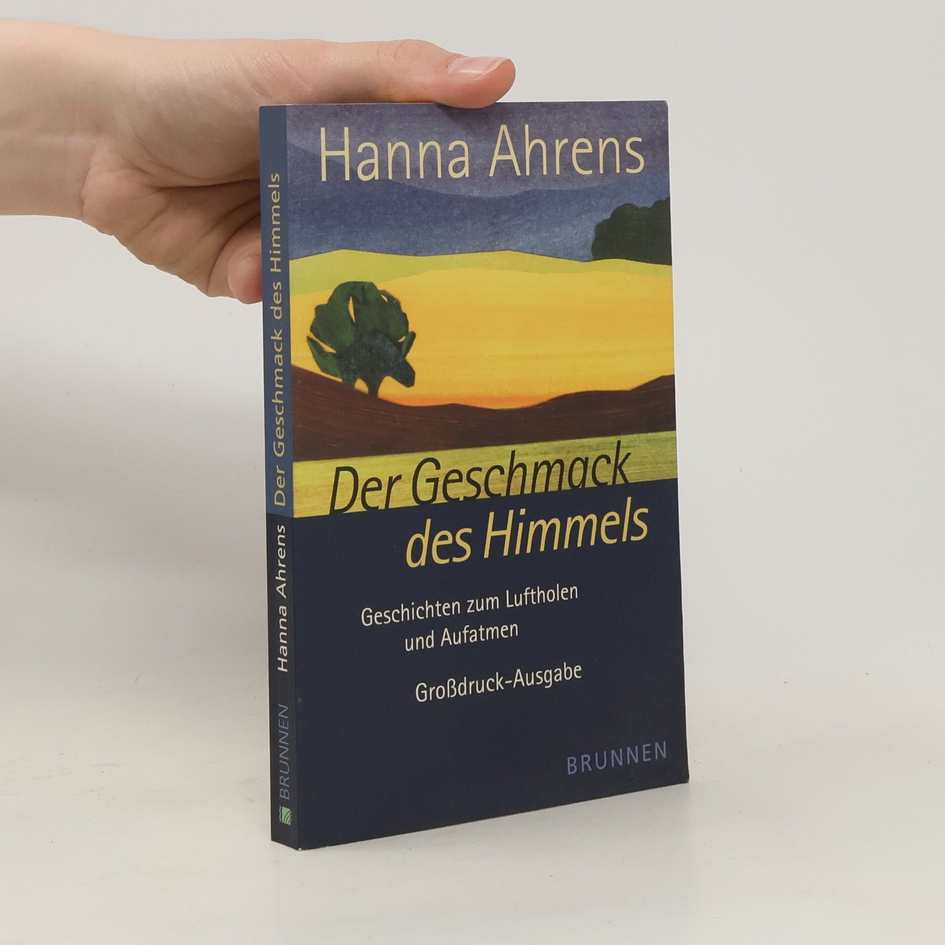 Hanna Ahrens Der Geschmack des Himmels. Geschichten zum Luftholen und Aufatmen. Grossdruckausgabe