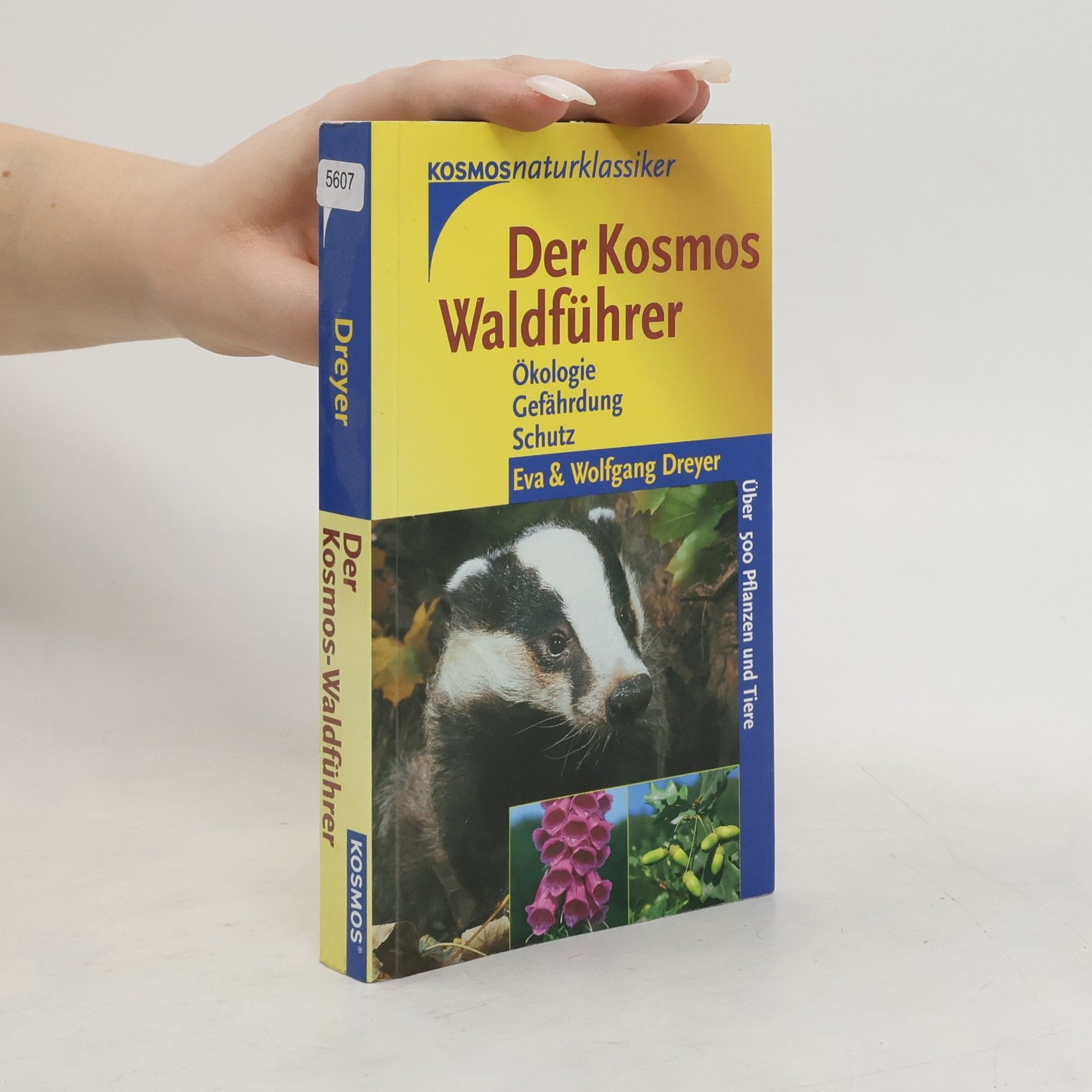 Eva Dreyer Der Kosmos Waldführer. Ökologie, Gefährdung, Schutz