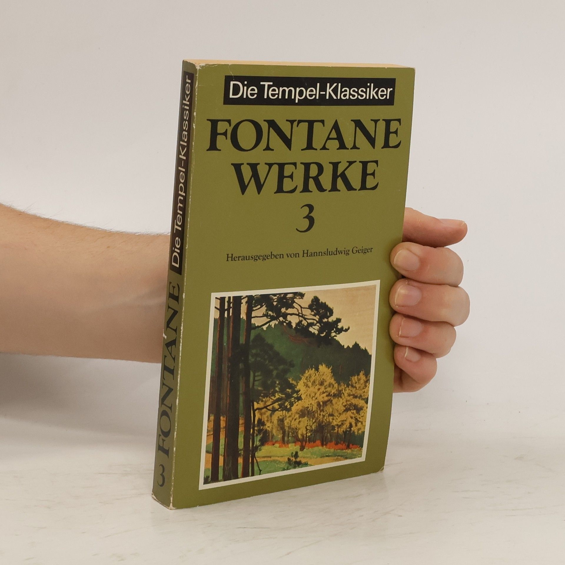 Theodor Fontane Werke 3