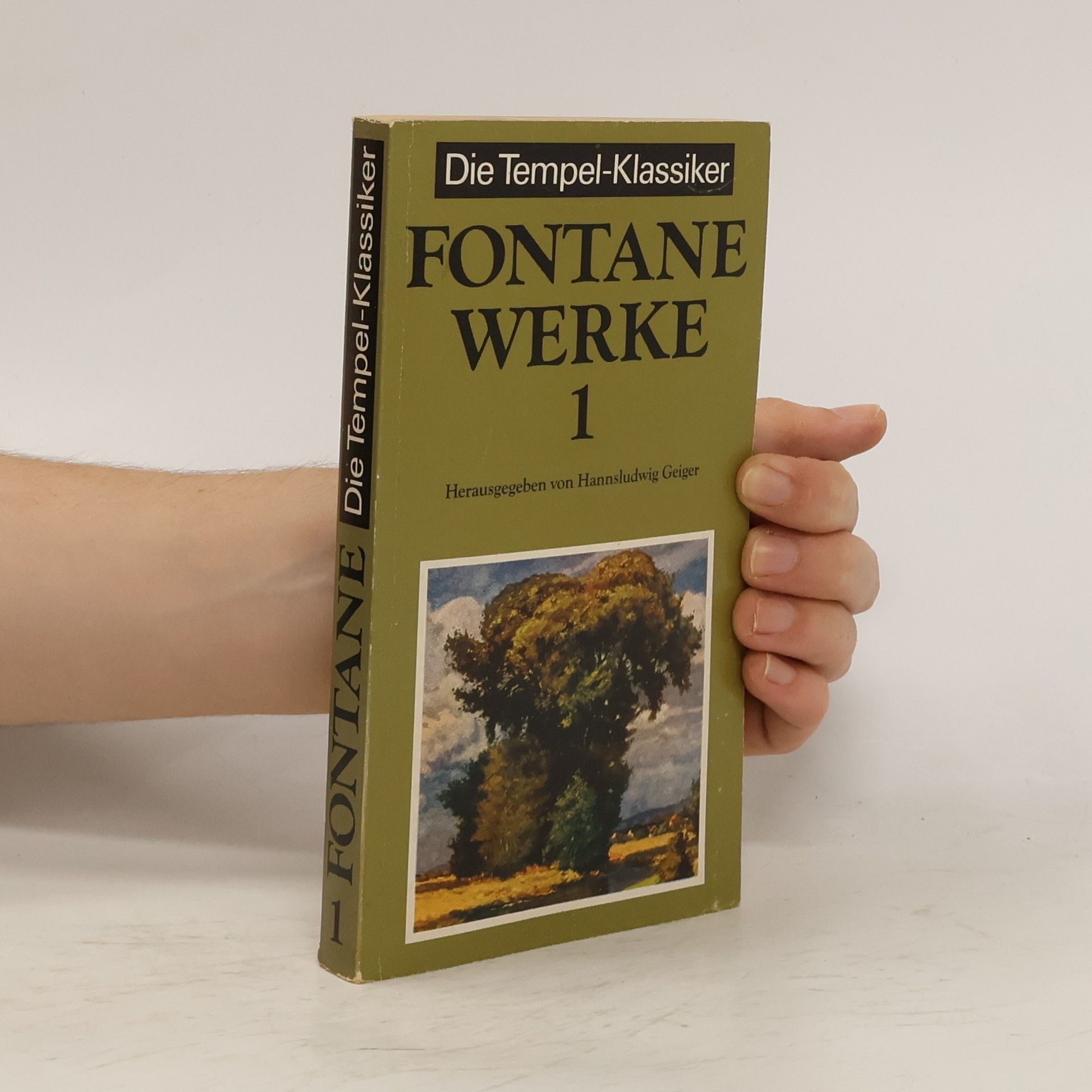 Theodor Fontane Werke 1