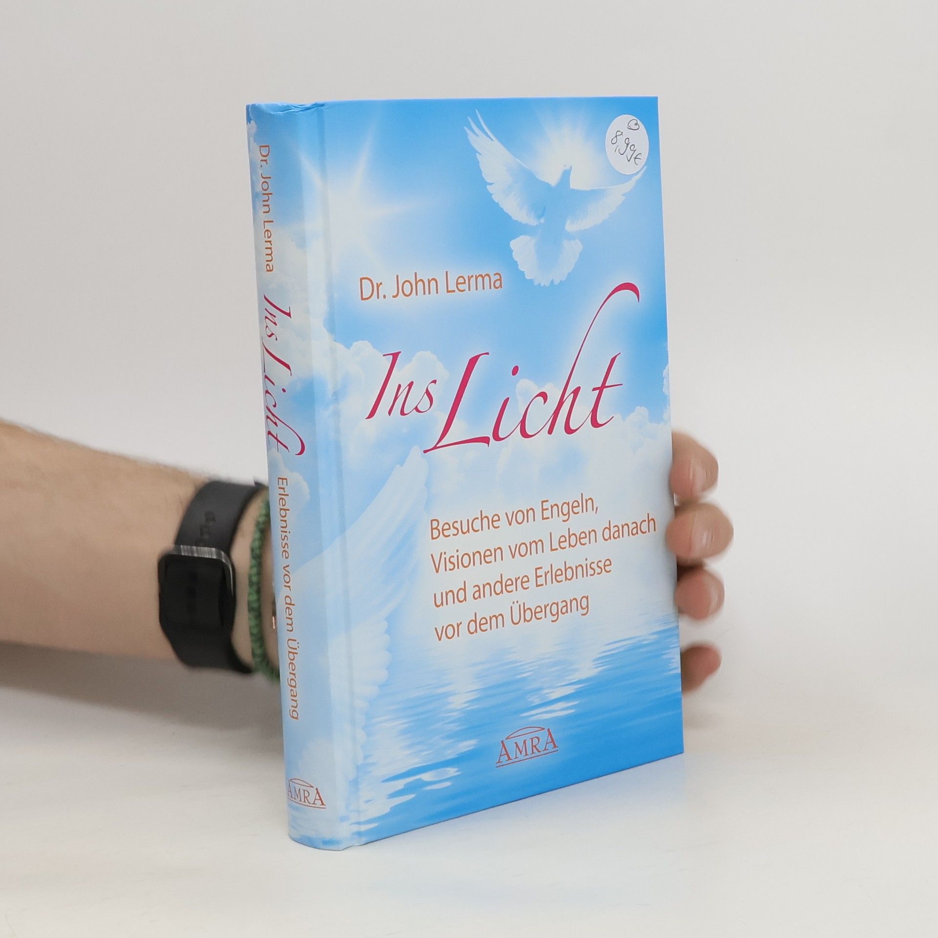 John Lerma Ins Licht