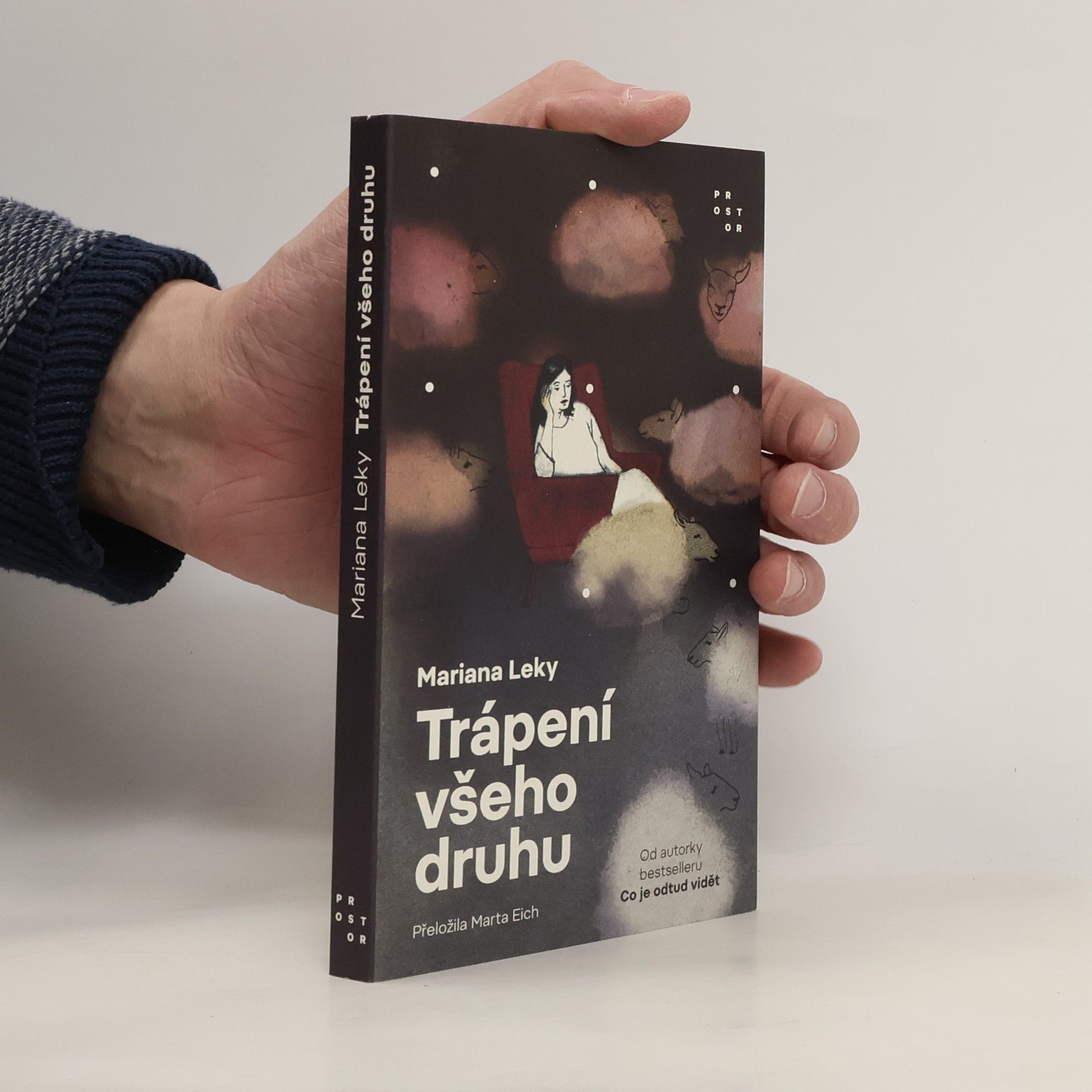 Marta Eich Trápení všeho druhu