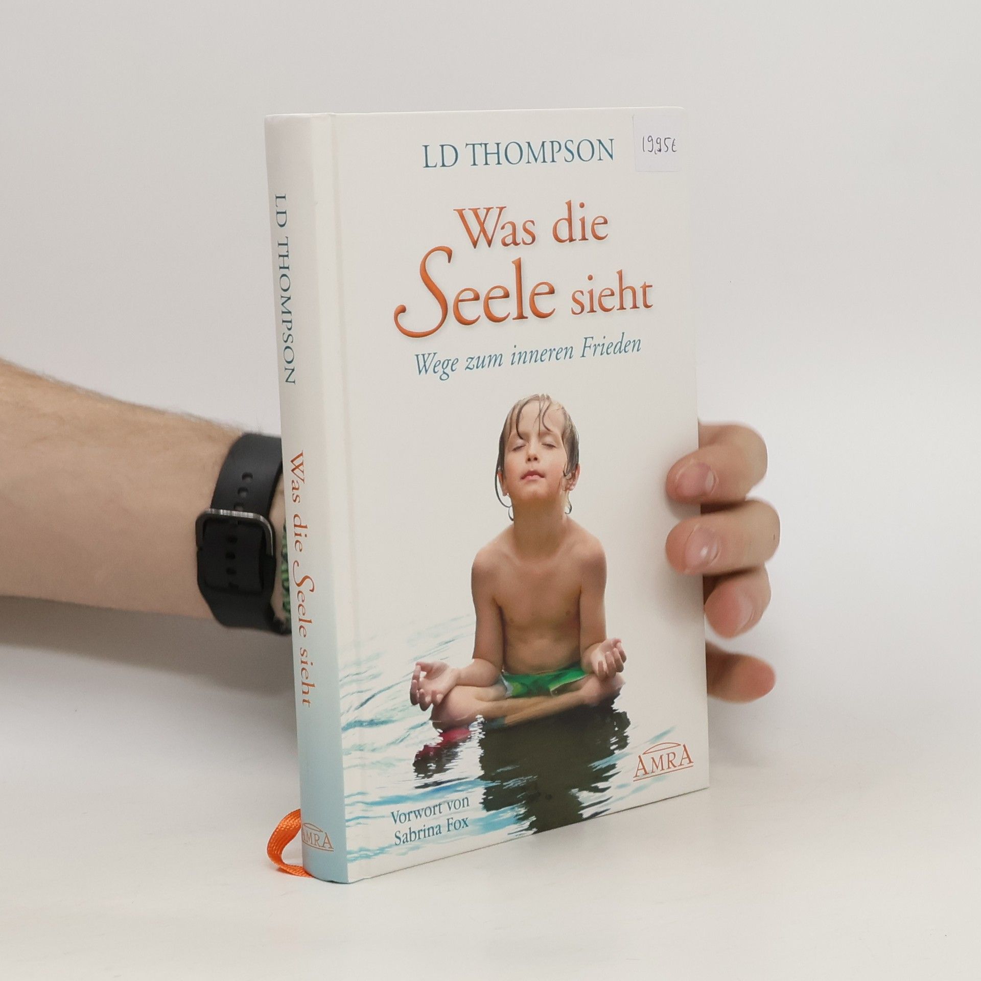 L. D. Thompson Was die Seele sieht