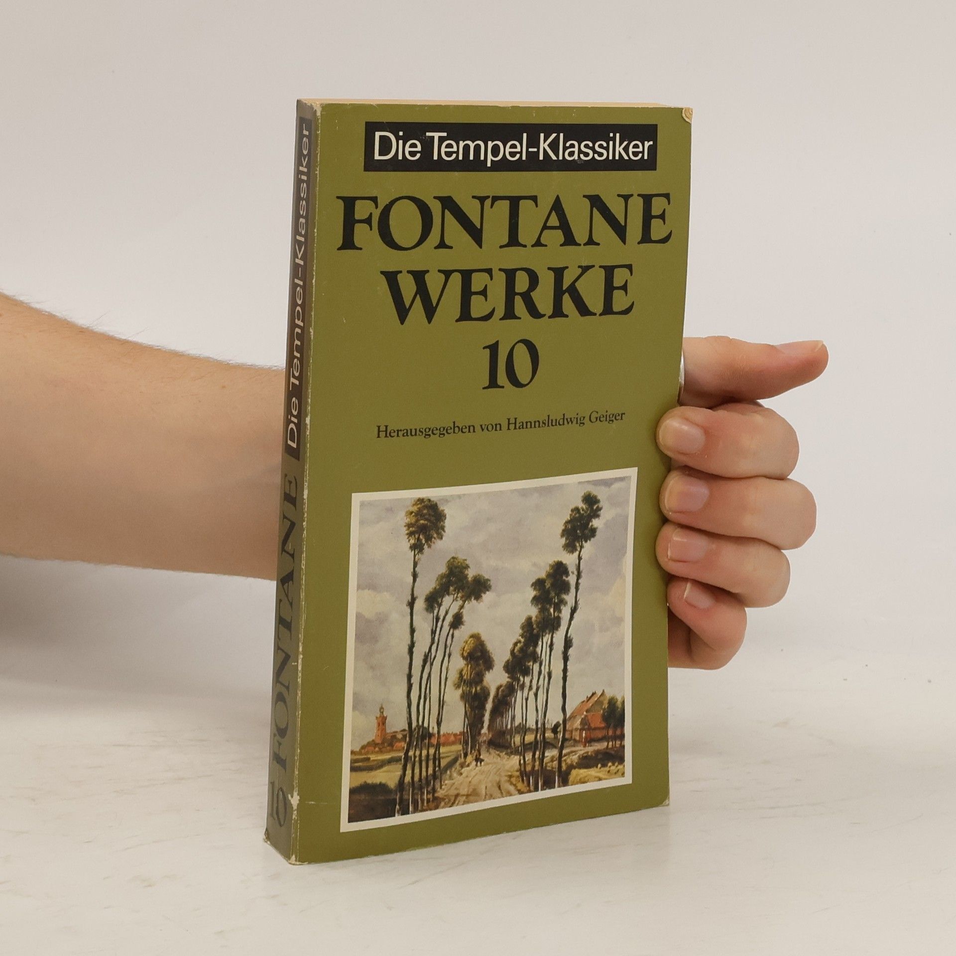 Theodor Fontane Werke 10