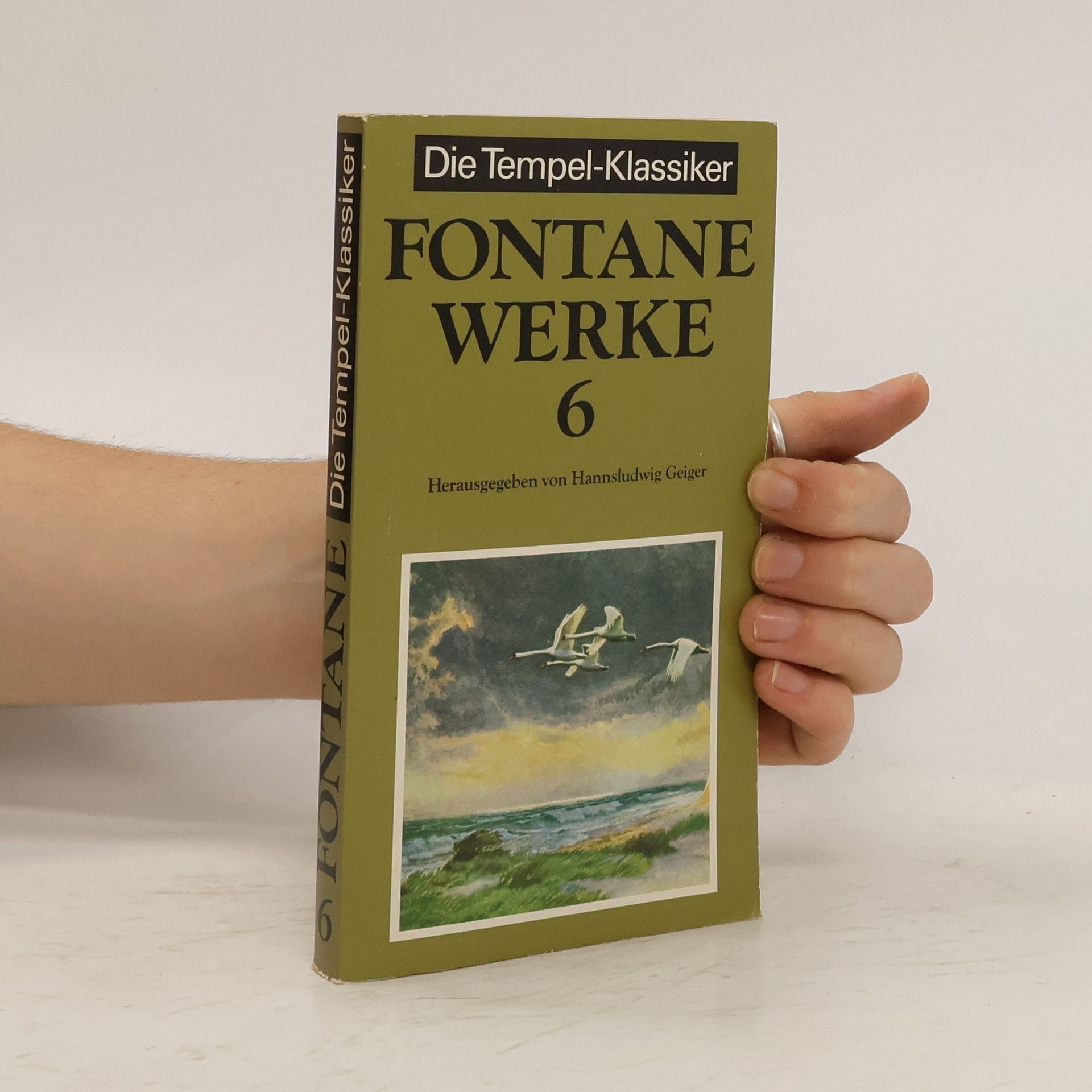Theodor Fontane Werke 6