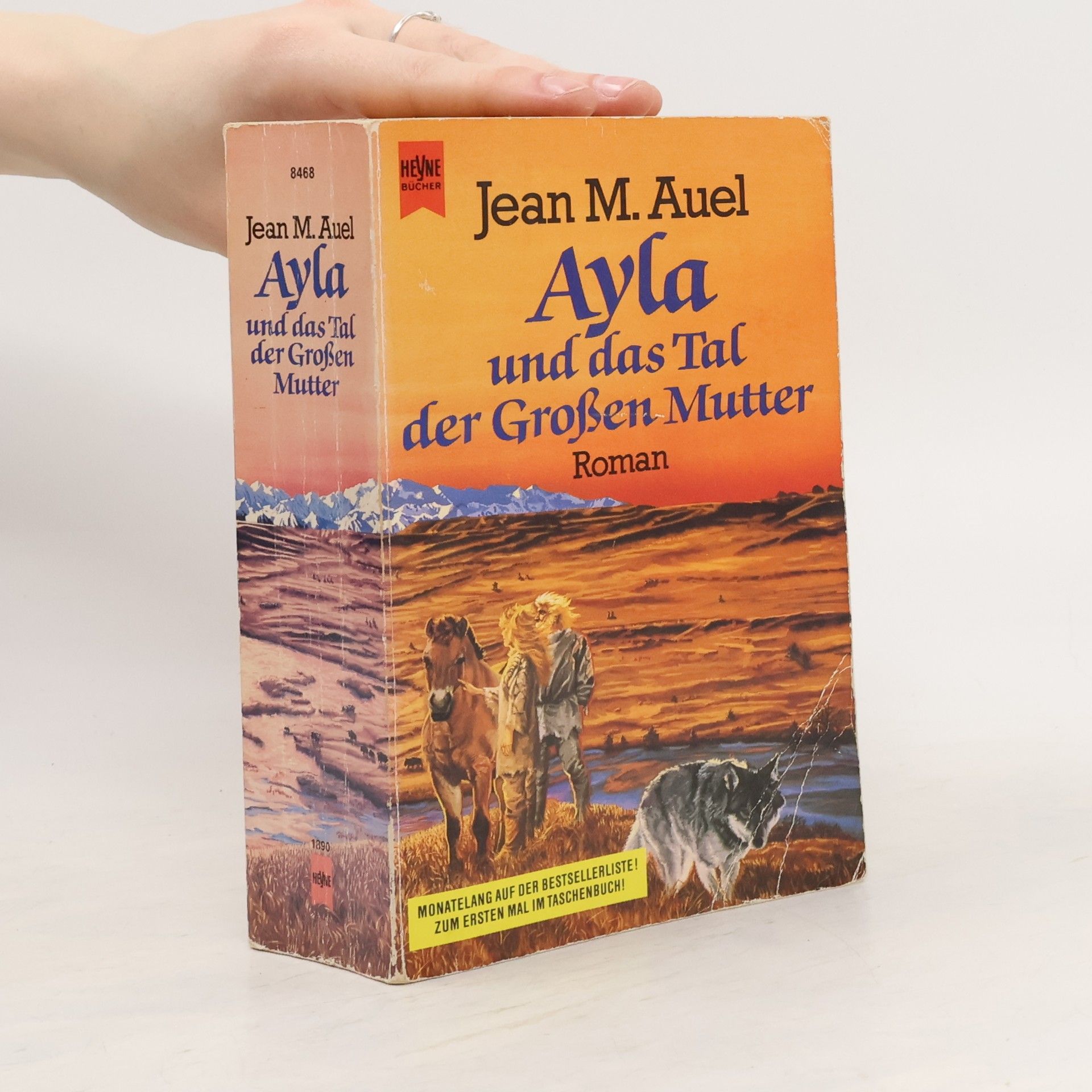 Jean M. Jean Marie Auel Ayla und das Tal der grossen Mutter