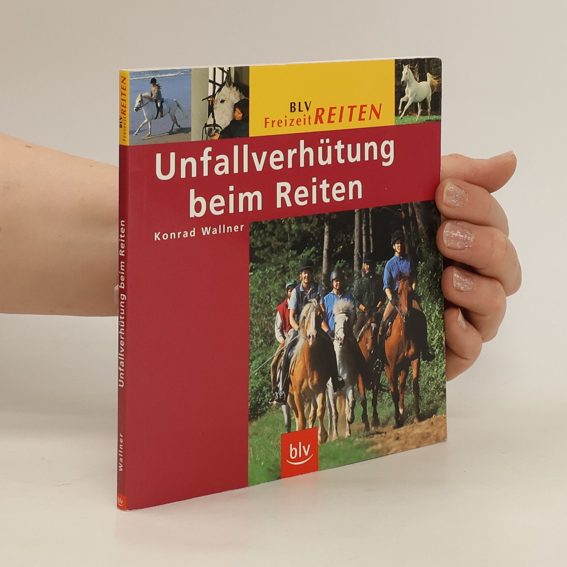 Konrad Wallner Unfallverhütung beim Reiten