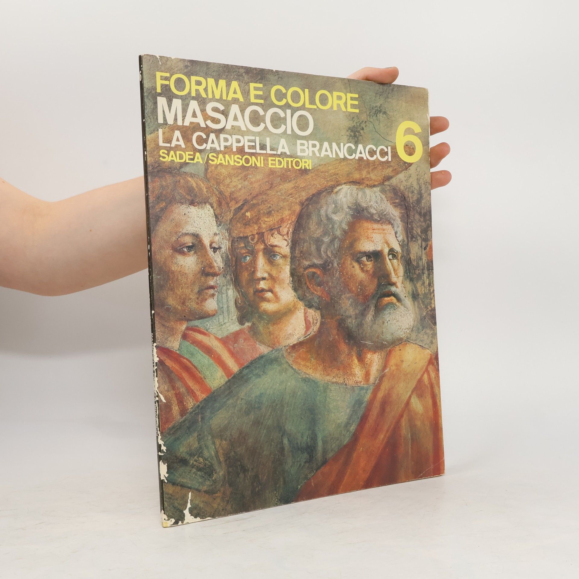 AA.VV. Forma e colore Masaccio la cappella Brancacci 6