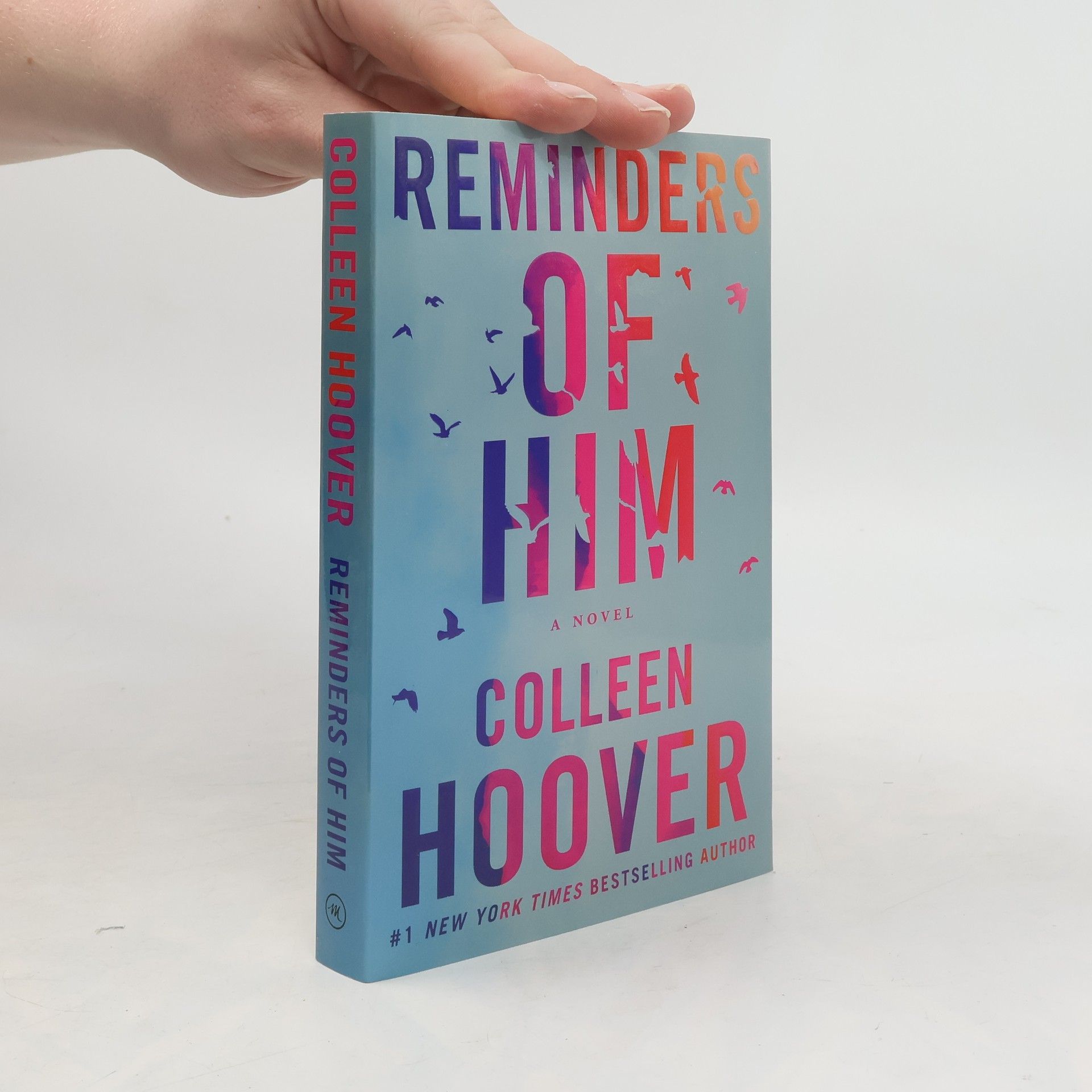 Colleen Hoover Reminders of him