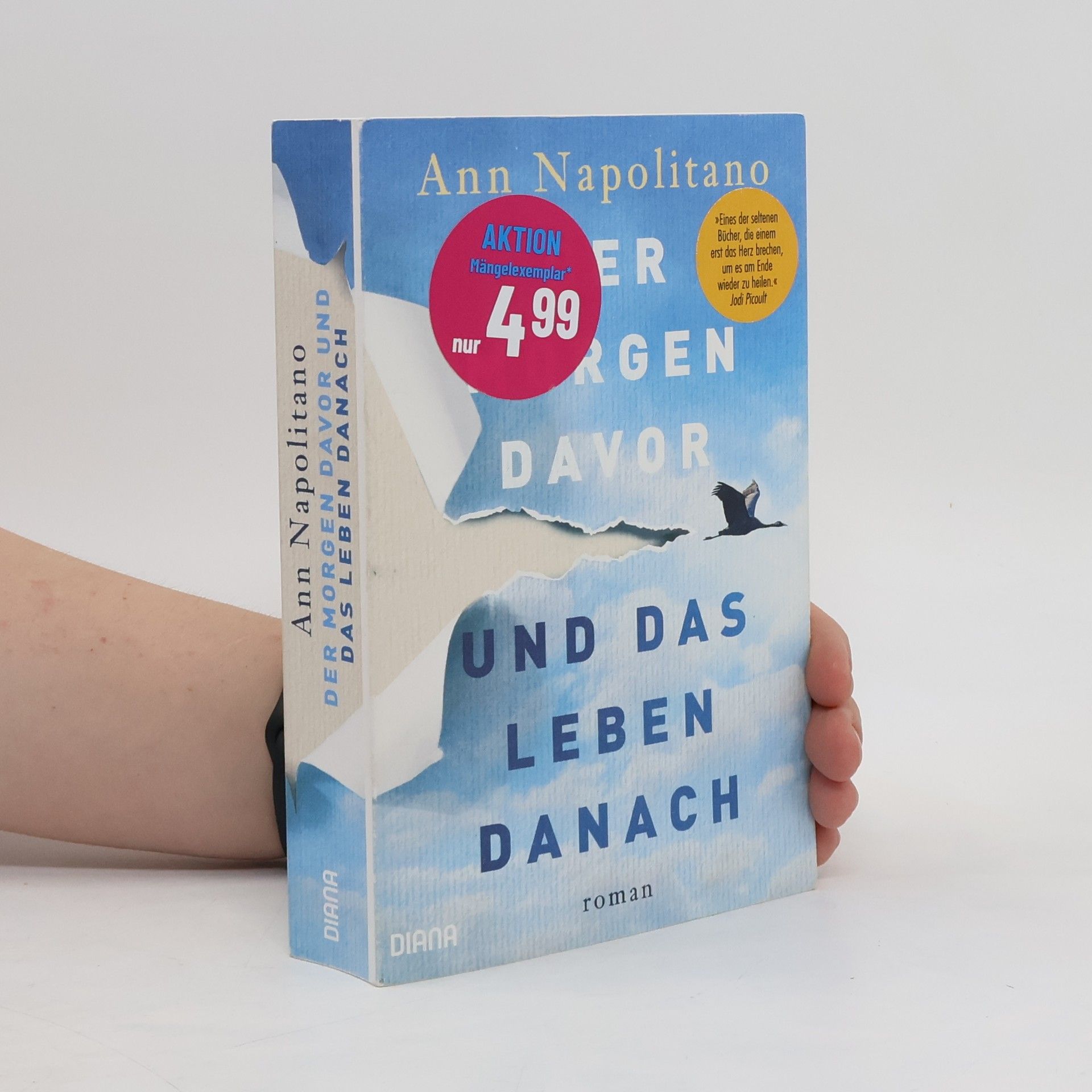 Ann Napolitano Der Morgen davor und das Leben danach