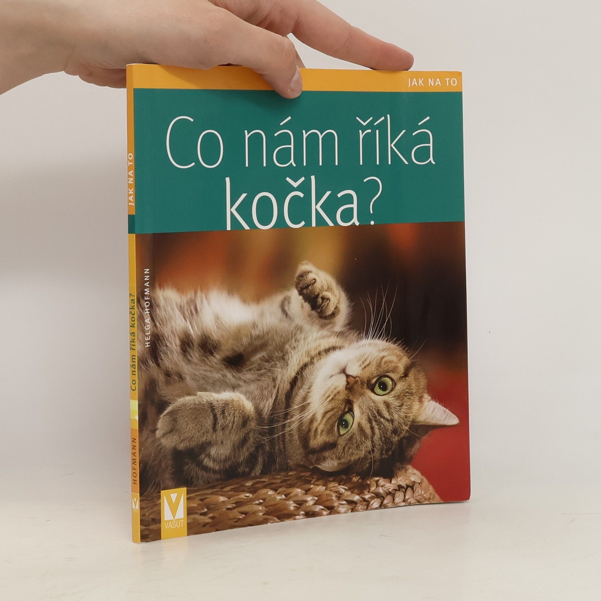 Co nám říká kočka?