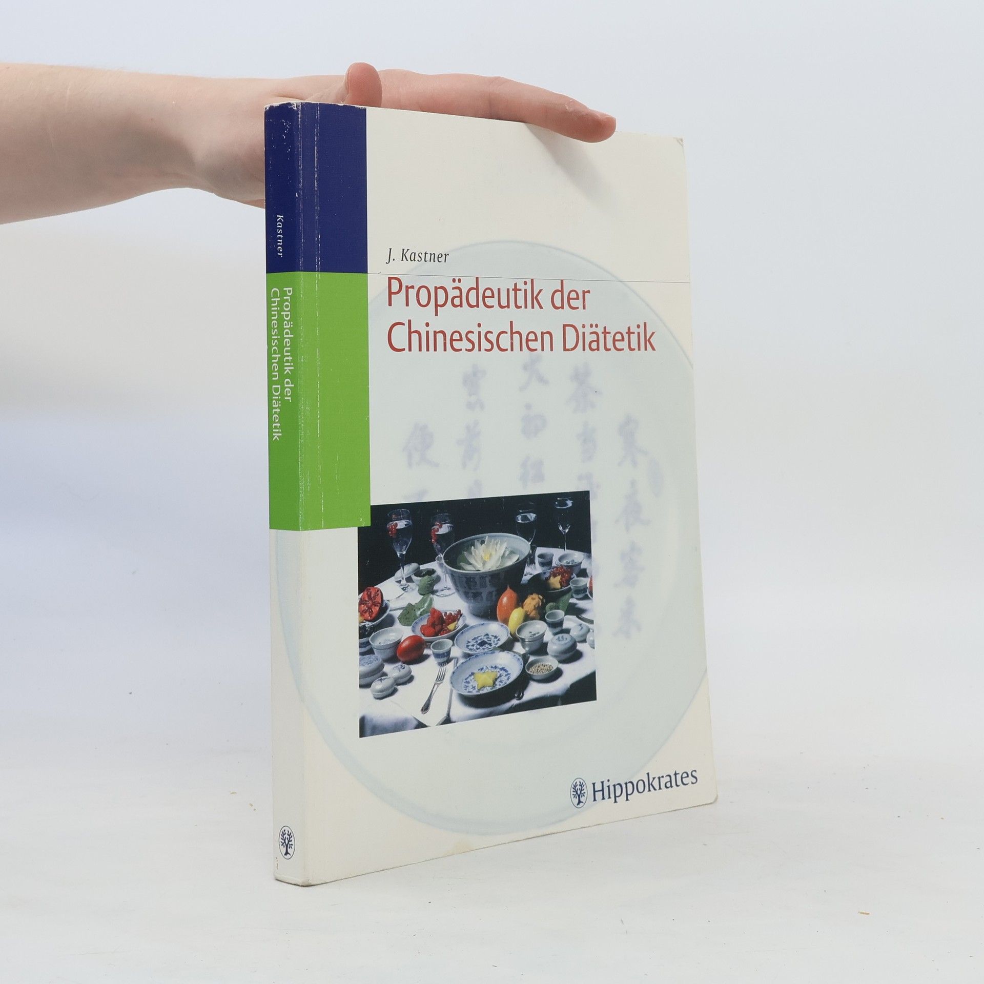 Joerg Kastner Propädeutik der chinesischen Diätetik
