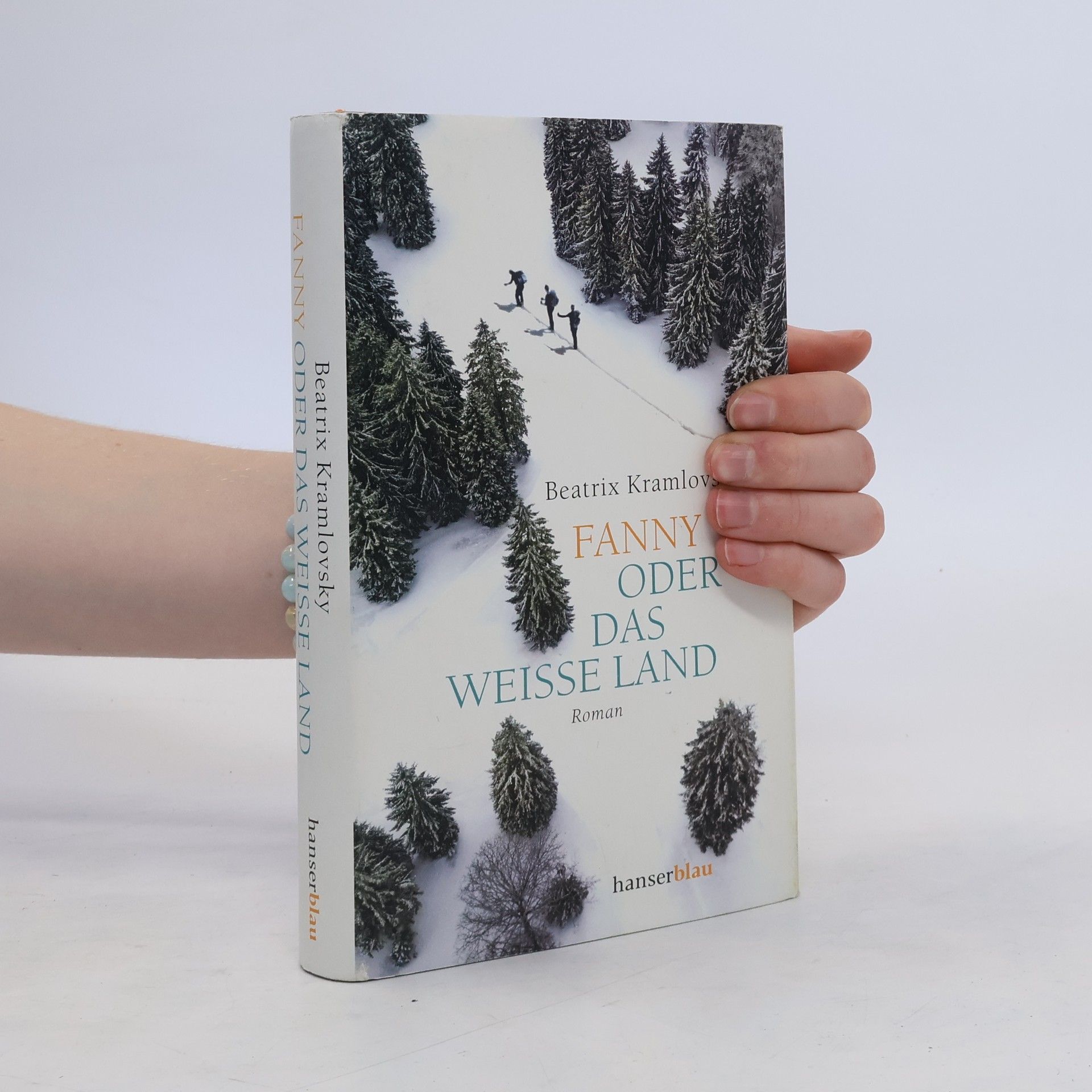 Beatrix M. Kramlovsky Fanny oder Das weisse Land