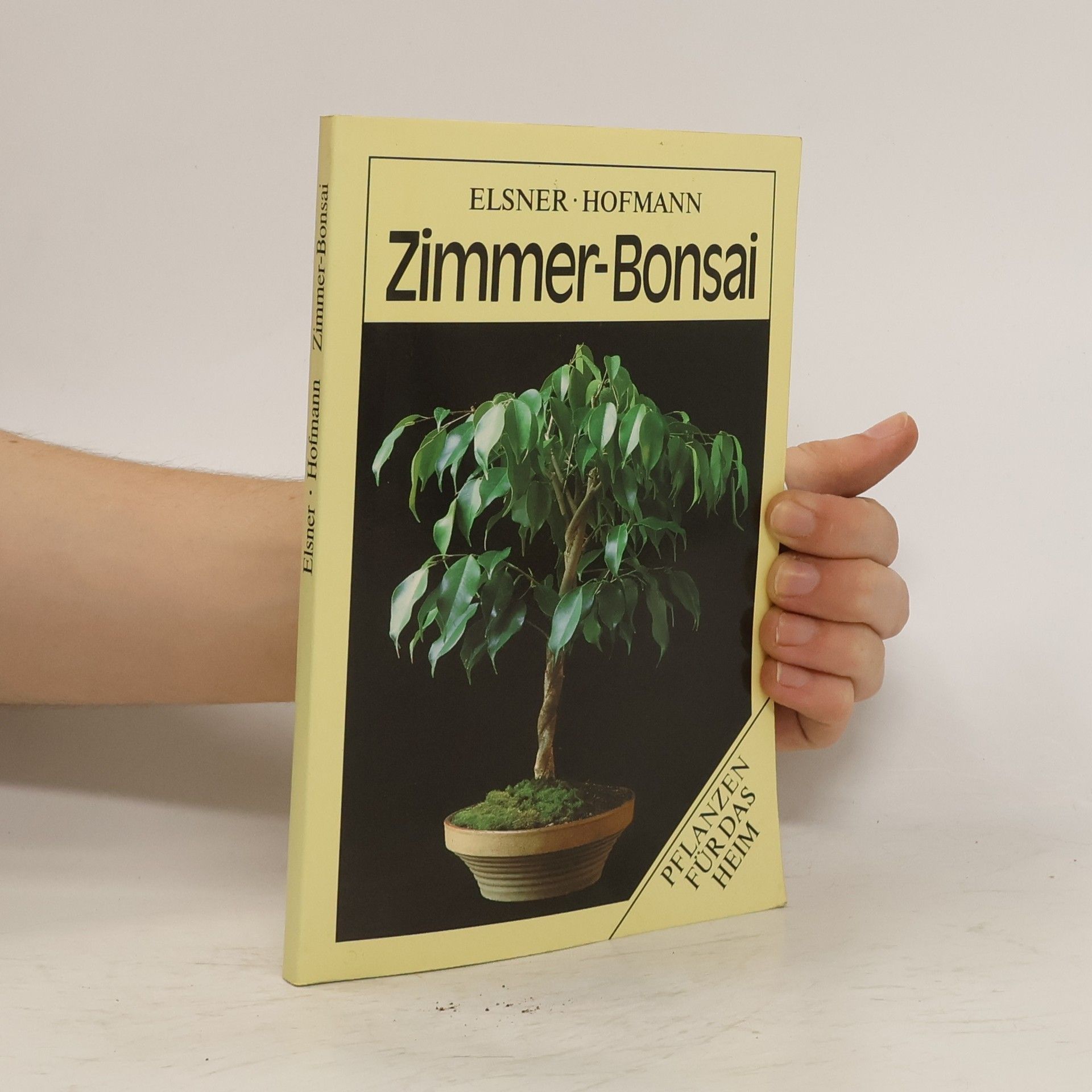 Wilhelm Elsner Zimmer-Bonsai