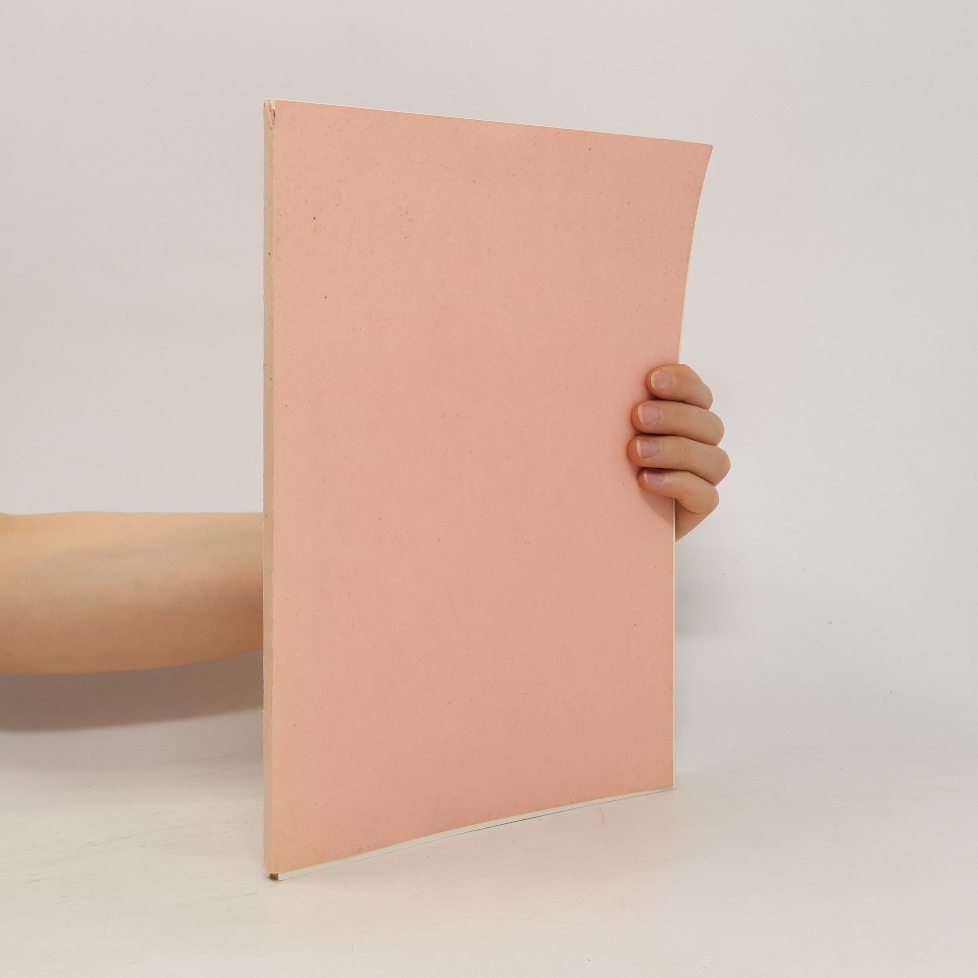 Autorenkollektiv Precation pro Universa Ecclesia