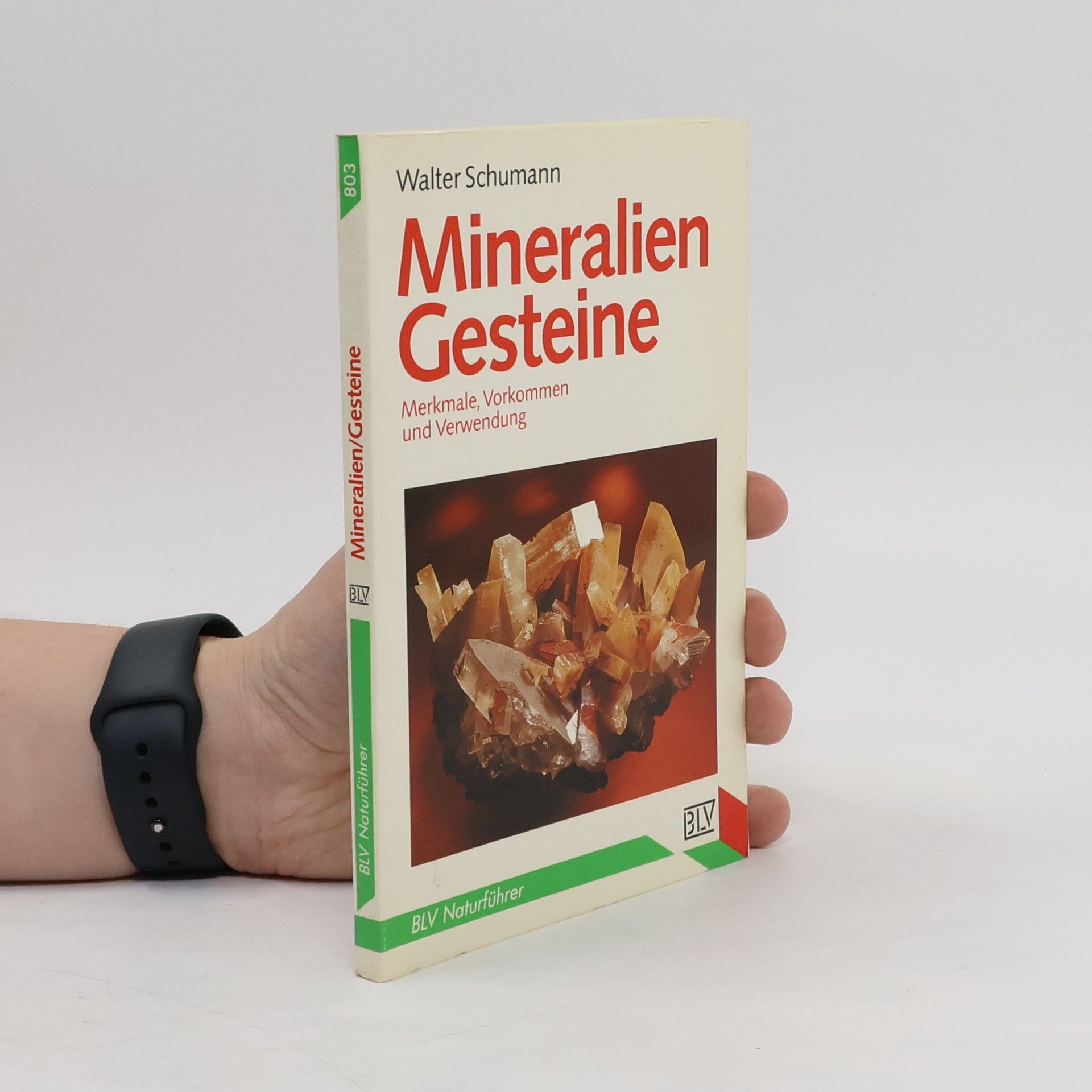 Walter Schumann Mineralien, Gesteine