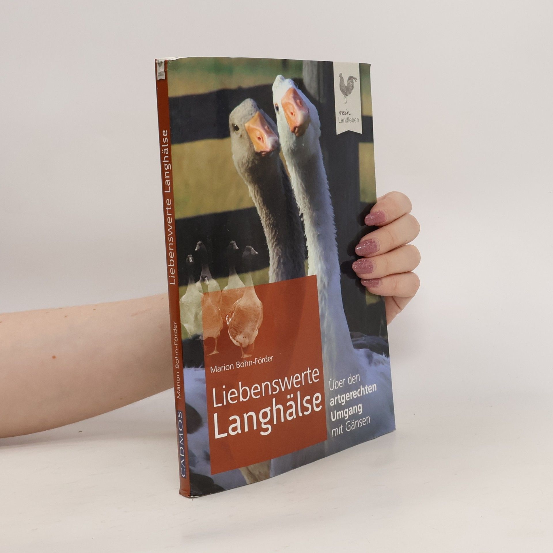 Marion Bohn Liebenswerte Langhälse
