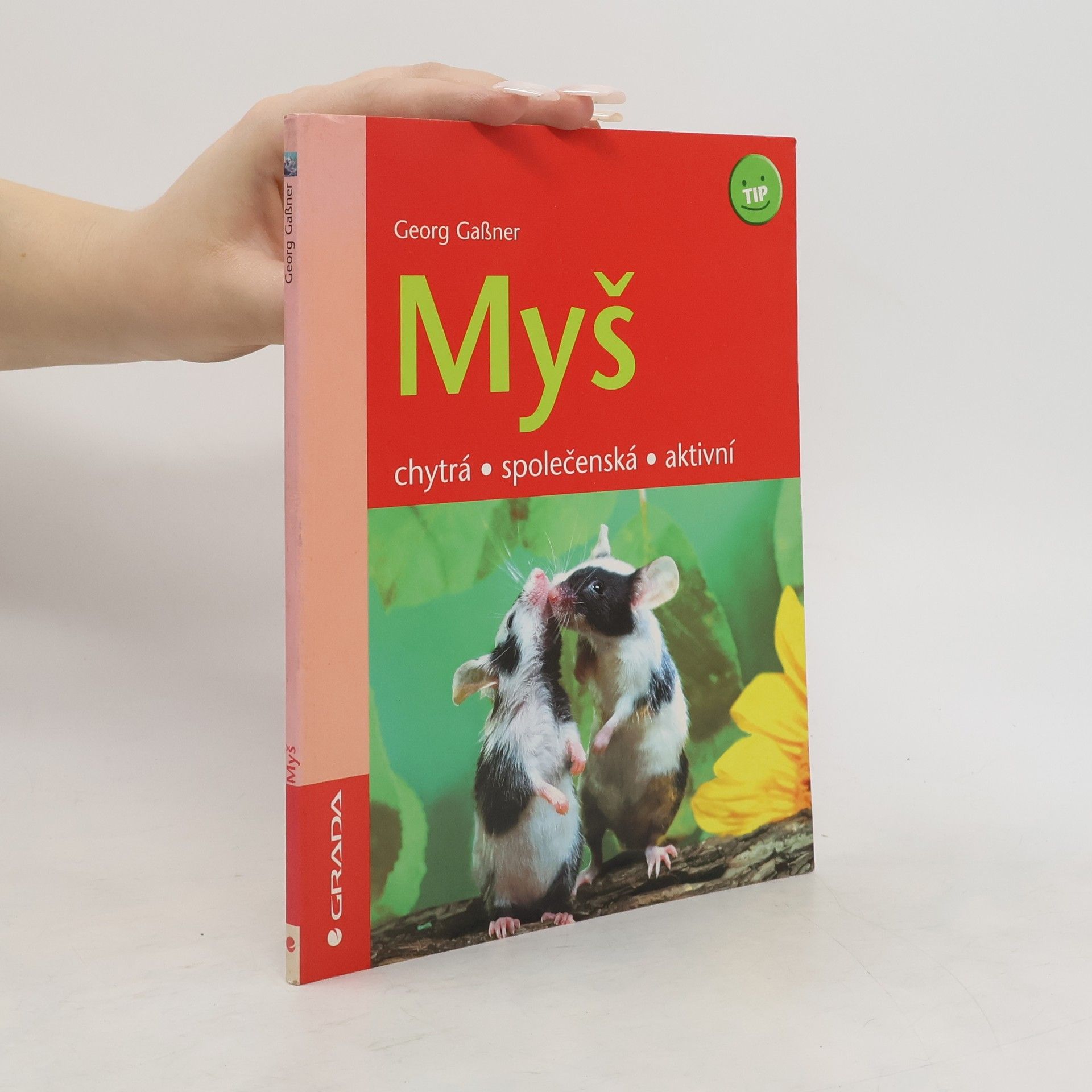 Georg Gaßner Myš : chytrá, společenská, aktivní