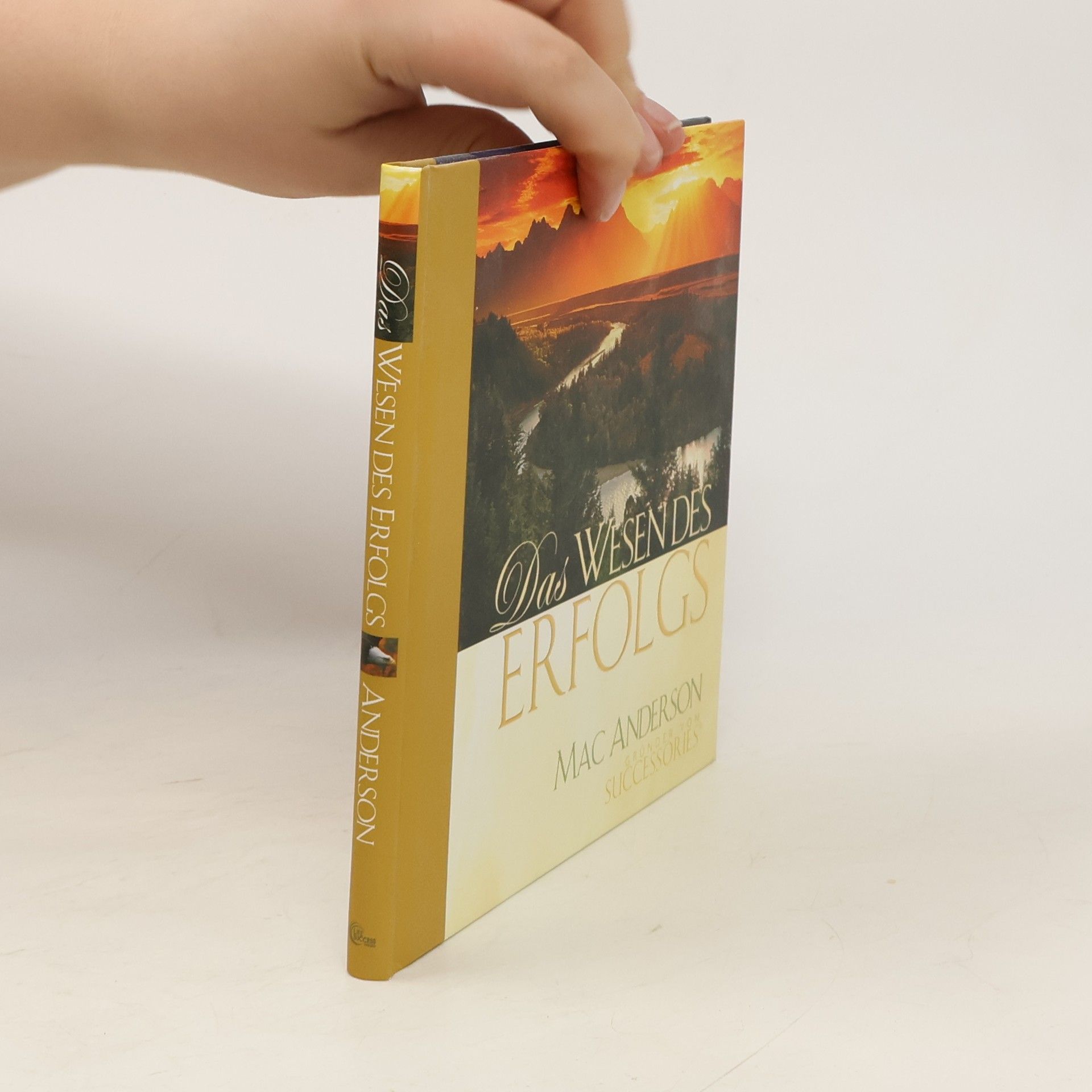 Mac Anderson Das Wesen des Erfolgs