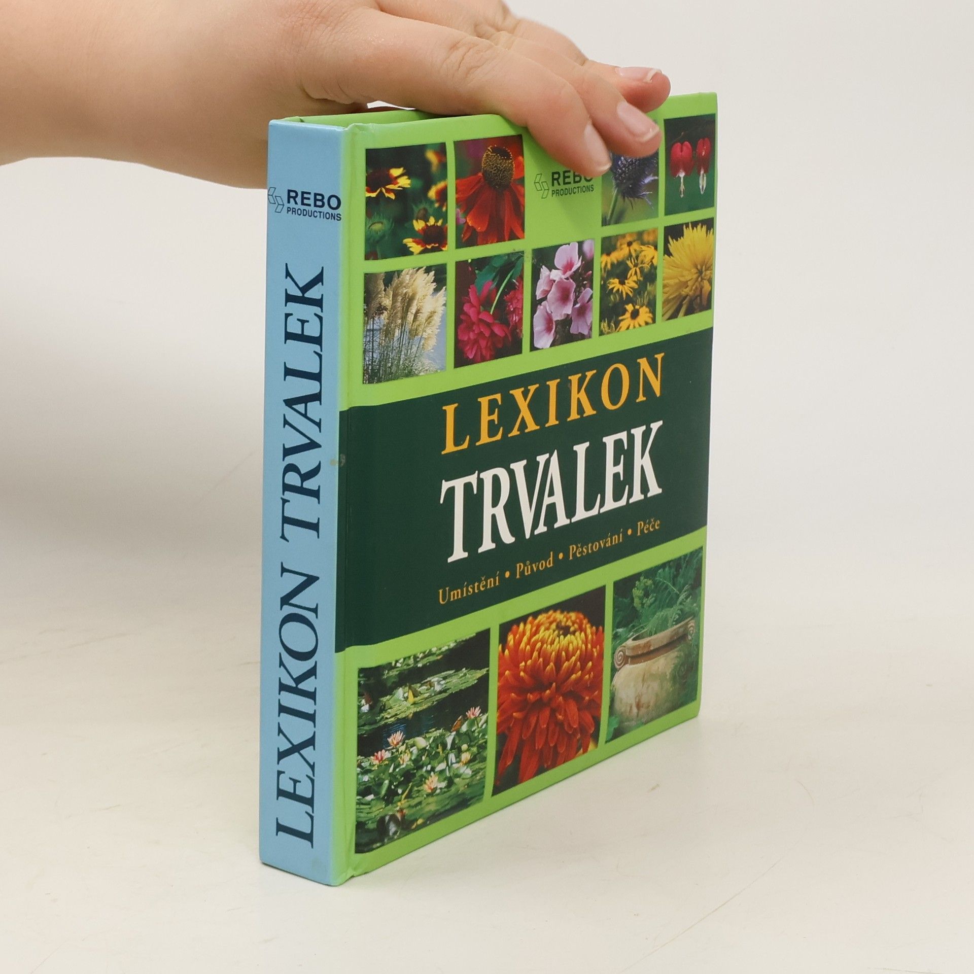 Andrea Rausch Lexikon trvalek : umístění, původ, pěstování, péče
