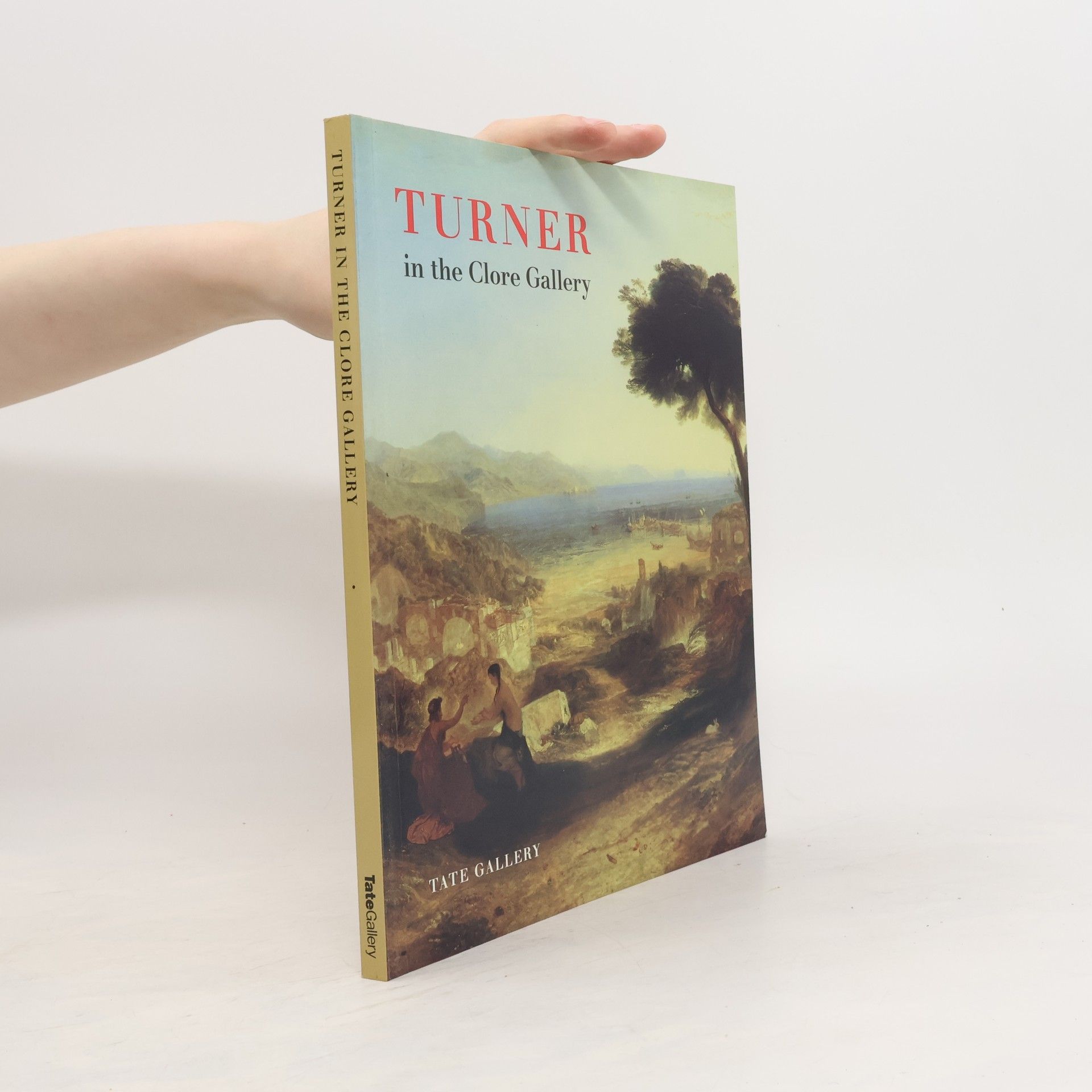 Autorenkollektiv Turner in the Clore Gallery : an illustrated guide
