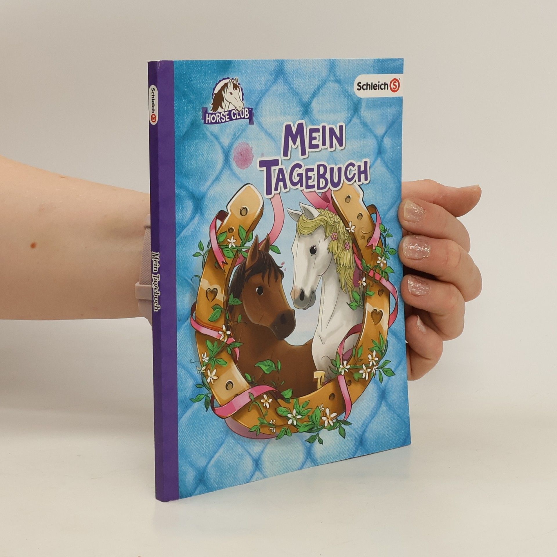 kolektiv Mein Tagebuch