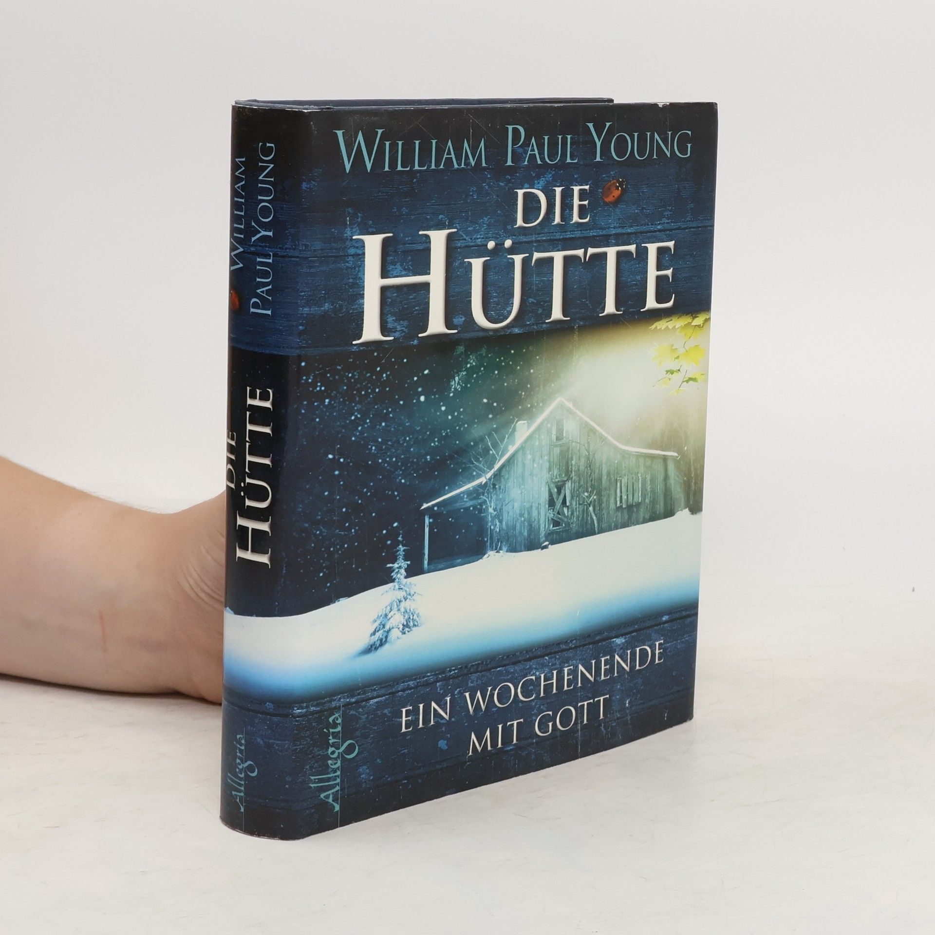William P. Young Die Hütte