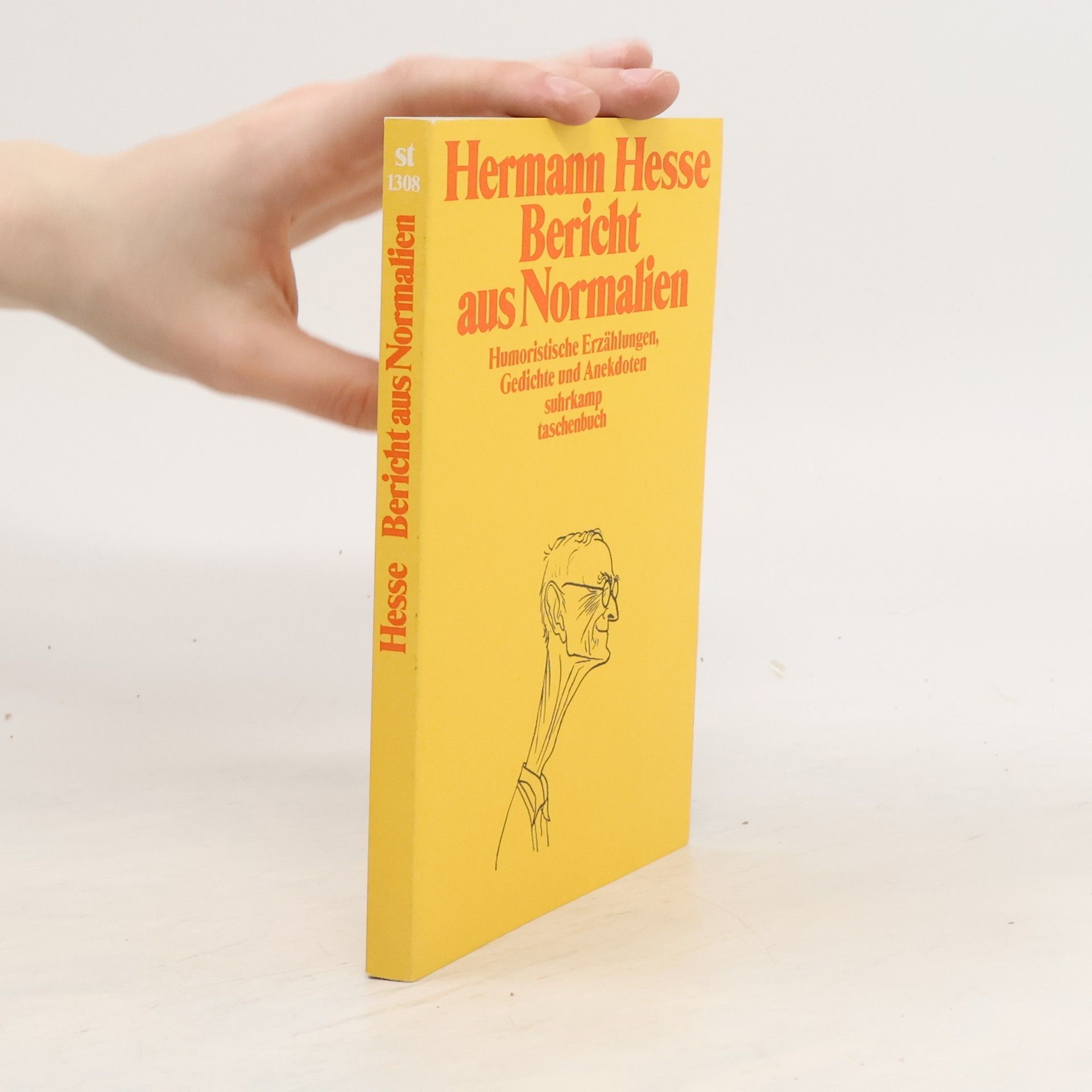 Hermann Hesse Bericht aus Normalien. Humoristische Erzählungen, Gedichte und Anekdoten