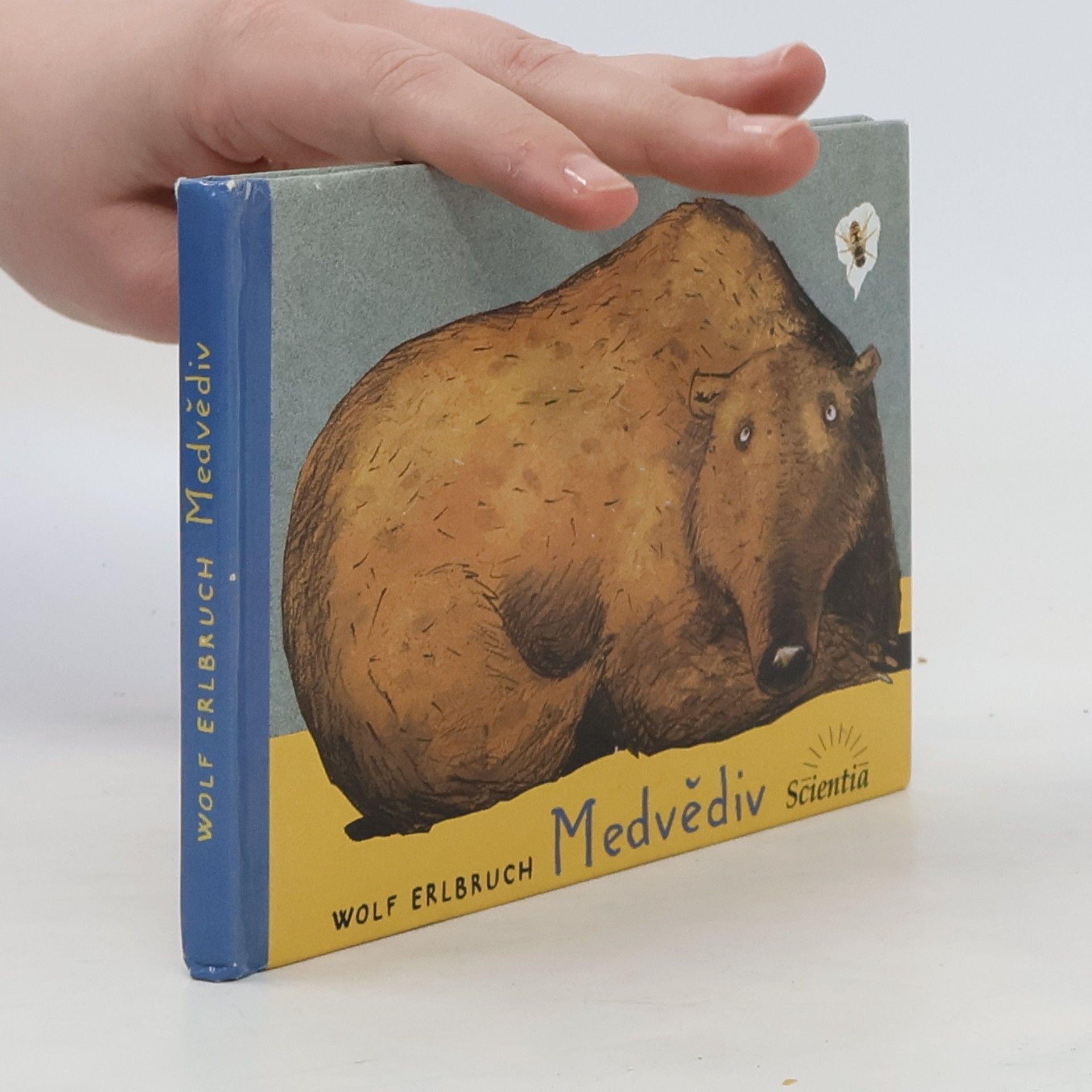 Wolf Erlbruch Medvědiv