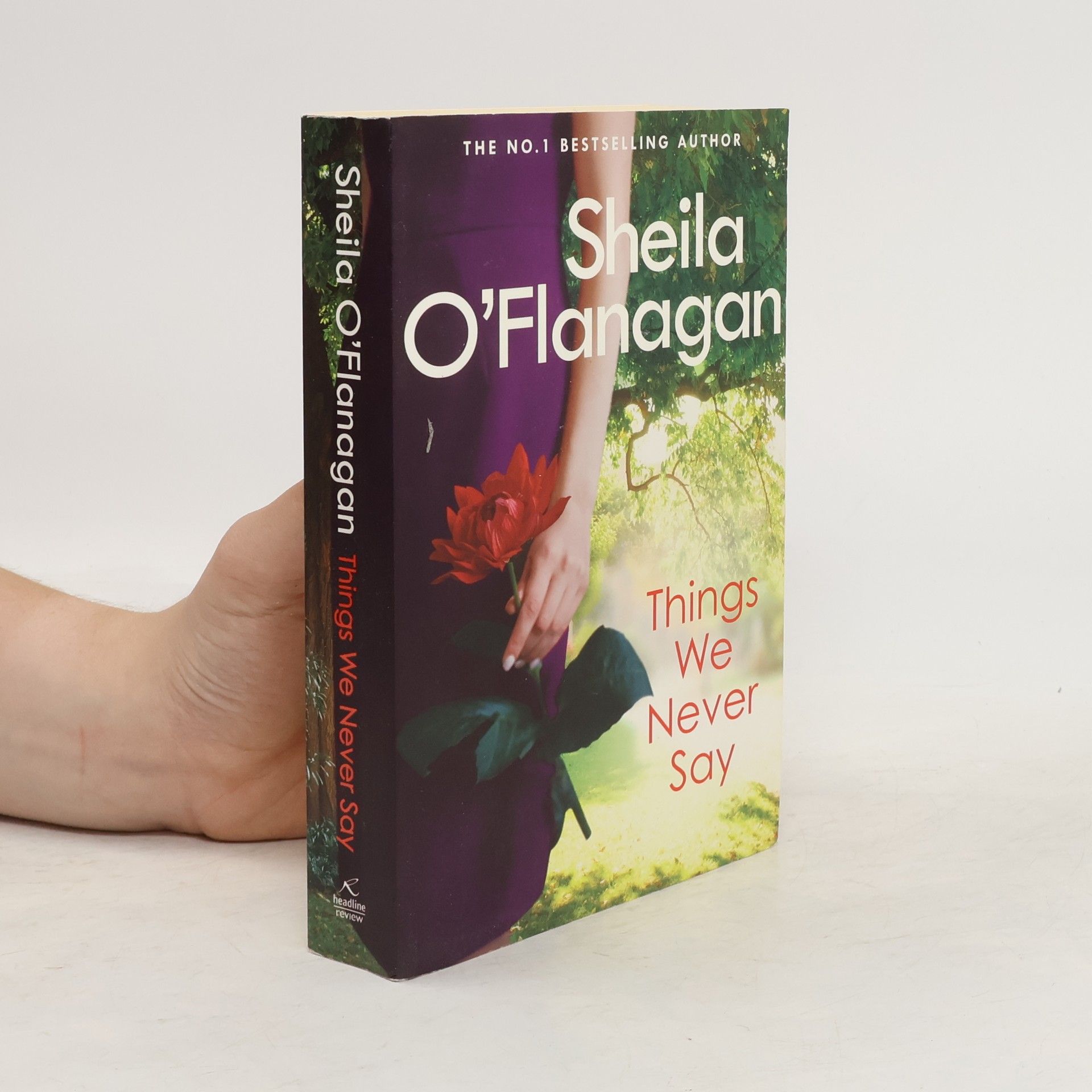 Sheila O’Flanagan Things we never say