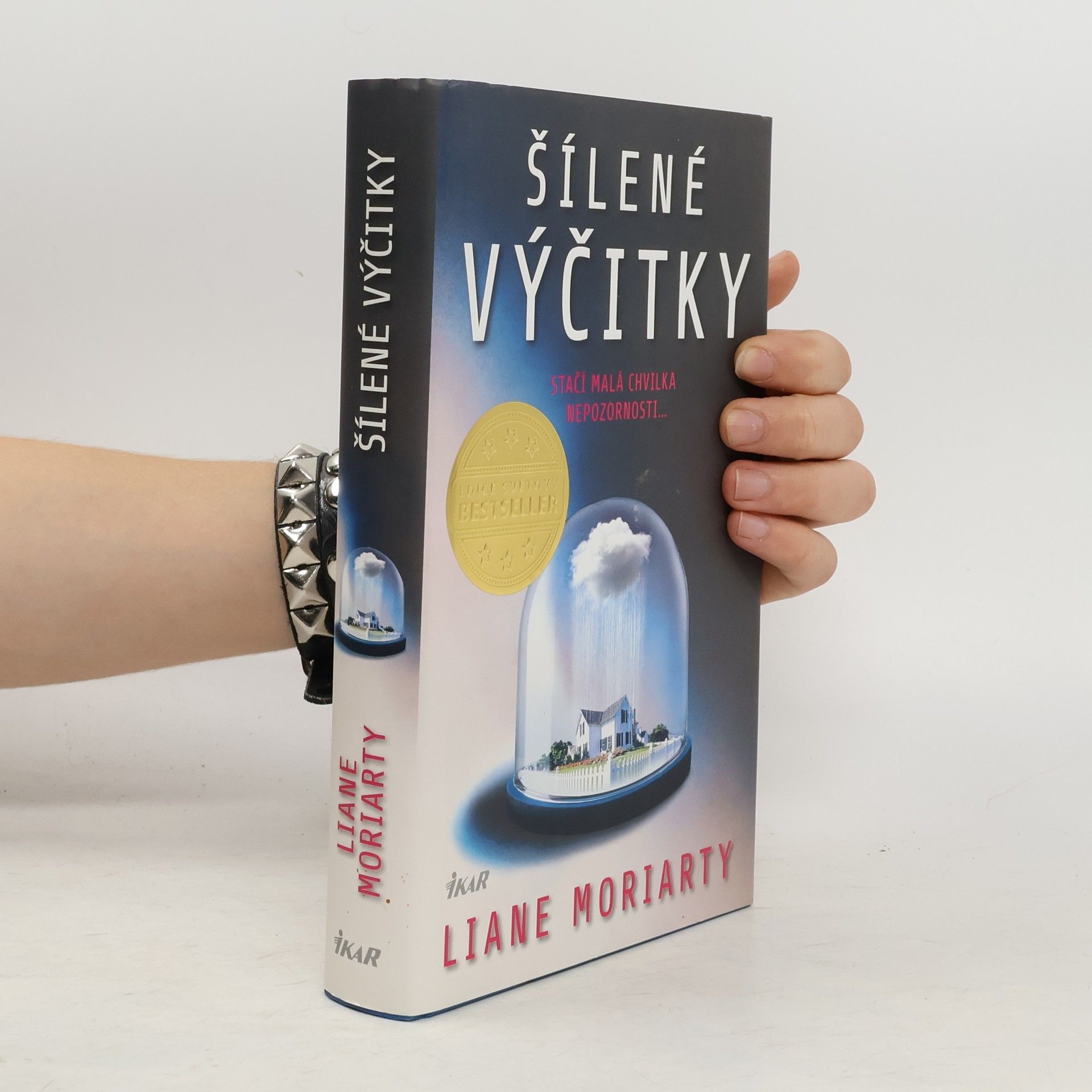 Liane Moriarty Šílené výčitky