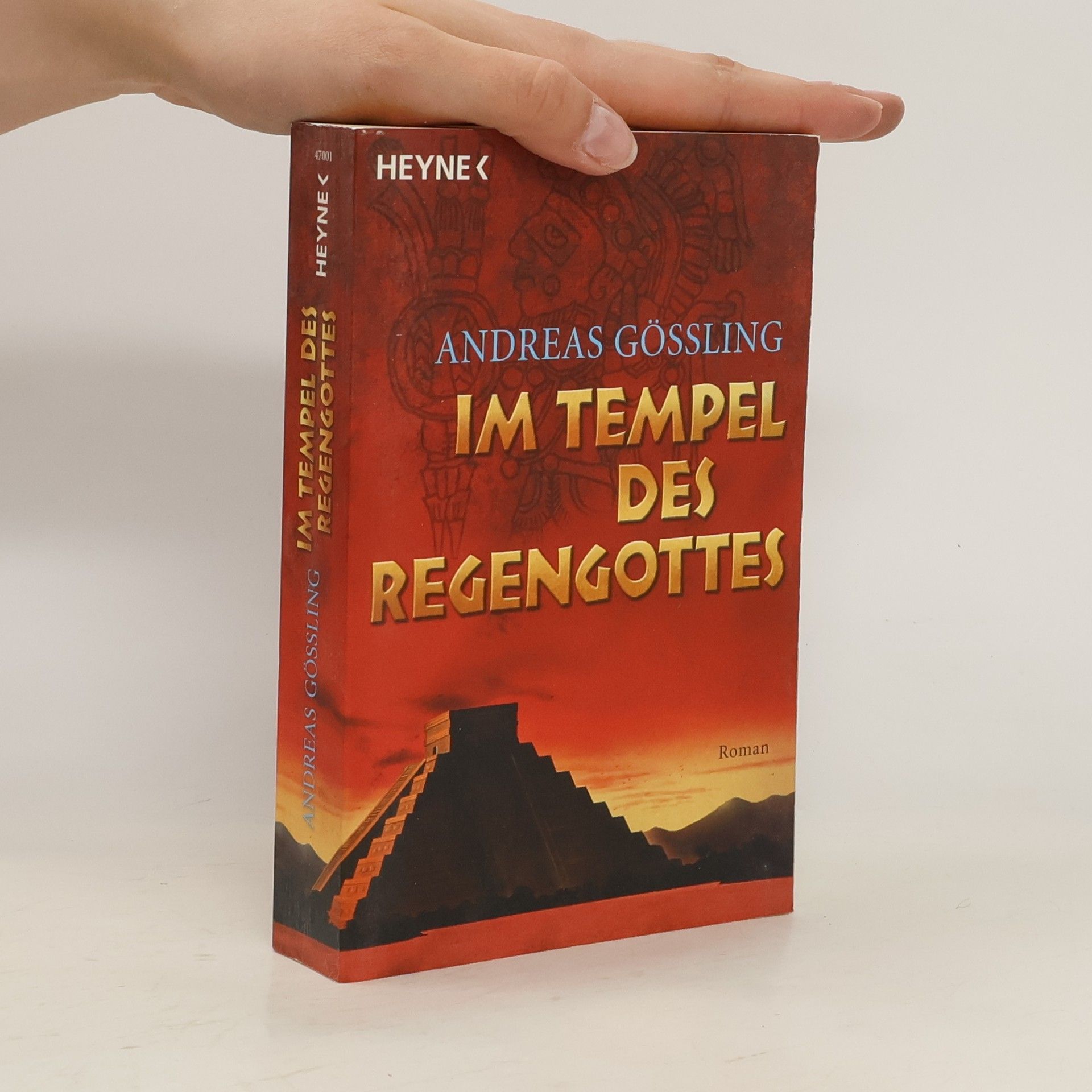 Andreas Gößling Im Tempel des Regengottes