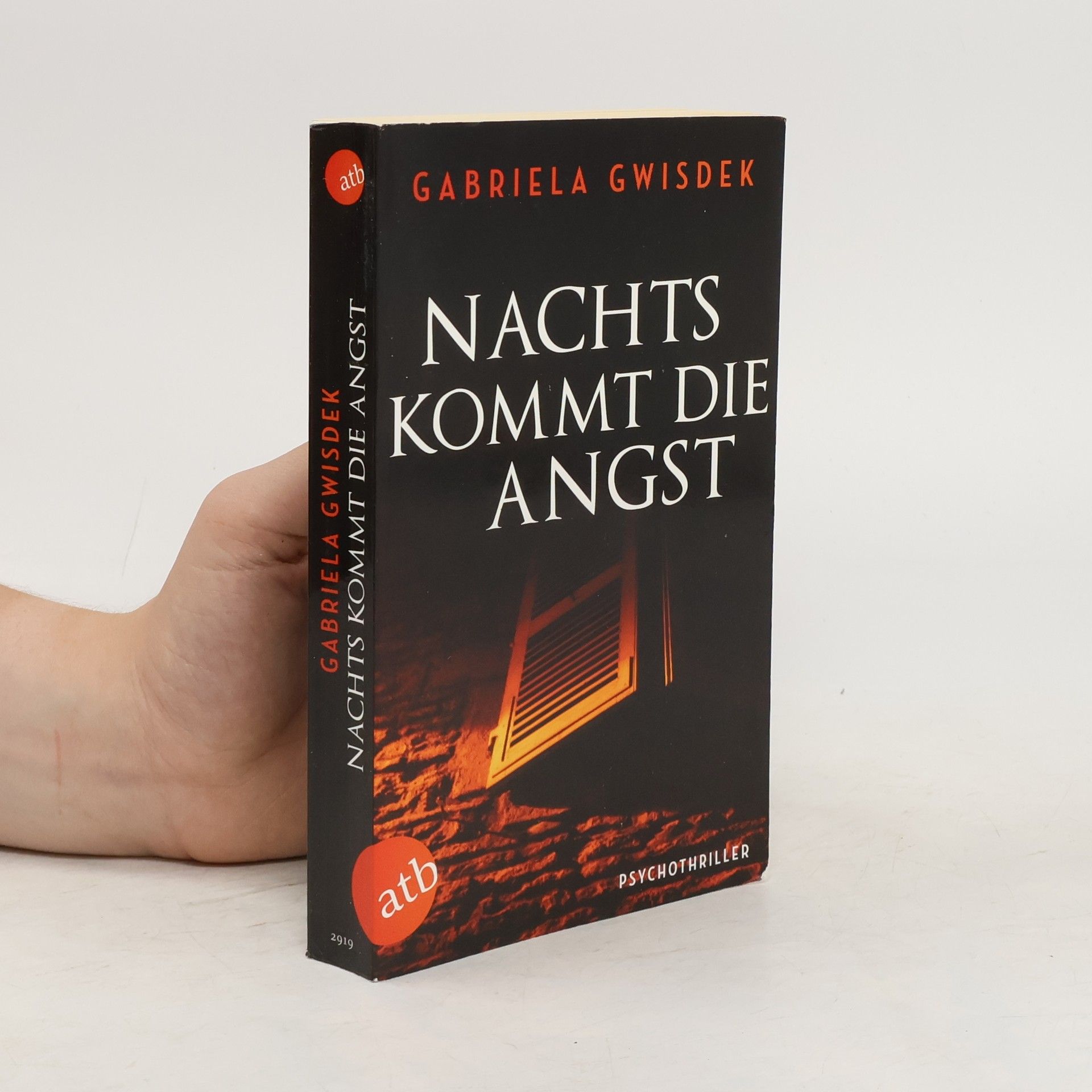 Gabriela Gwisdek Nachts kommt die Angst