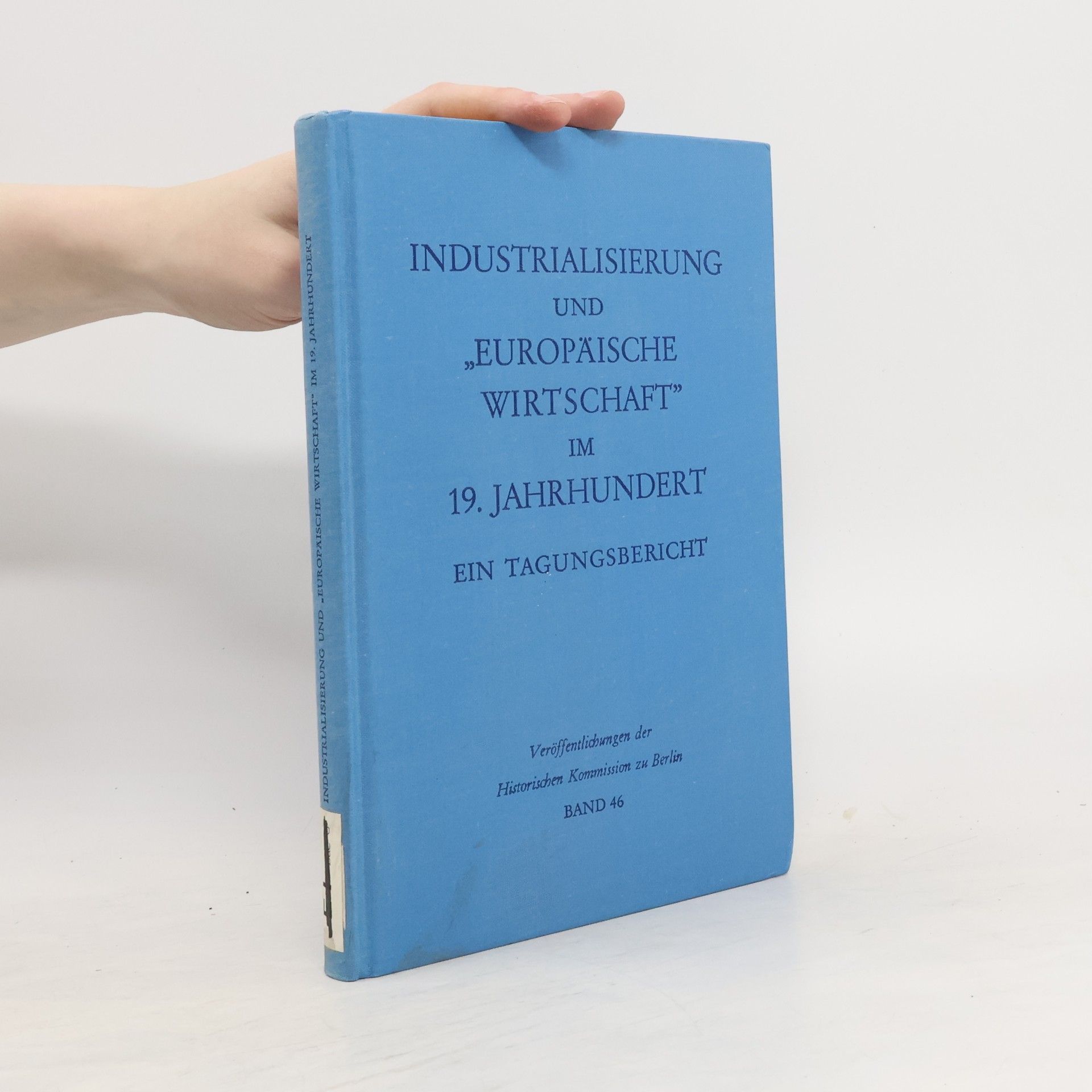 Otto Busch Industrialisierung und europäische Wirtschaft im 19. [neunzehnten] Jahrhundert