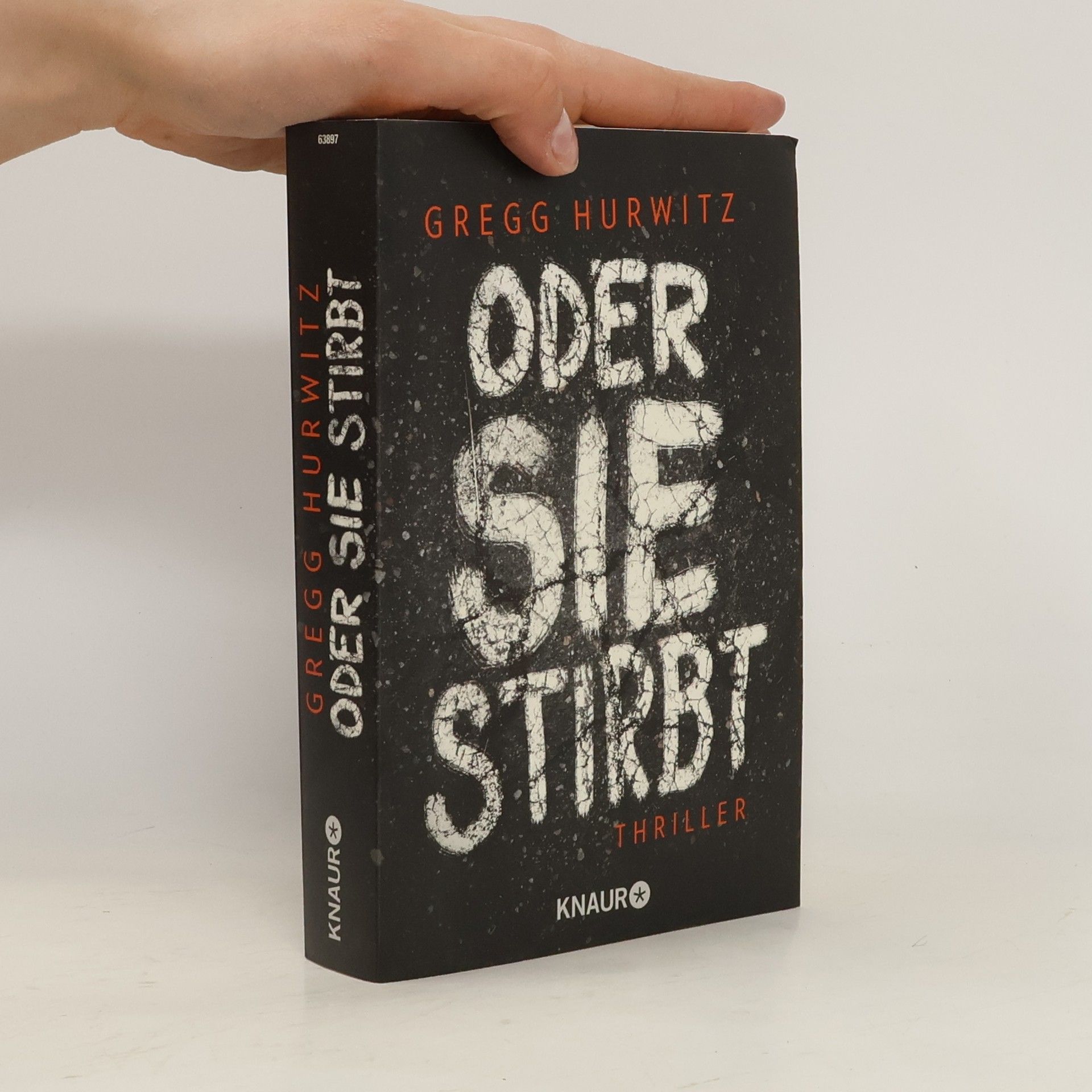 Gregg Hurwitz Oder sie stirbt