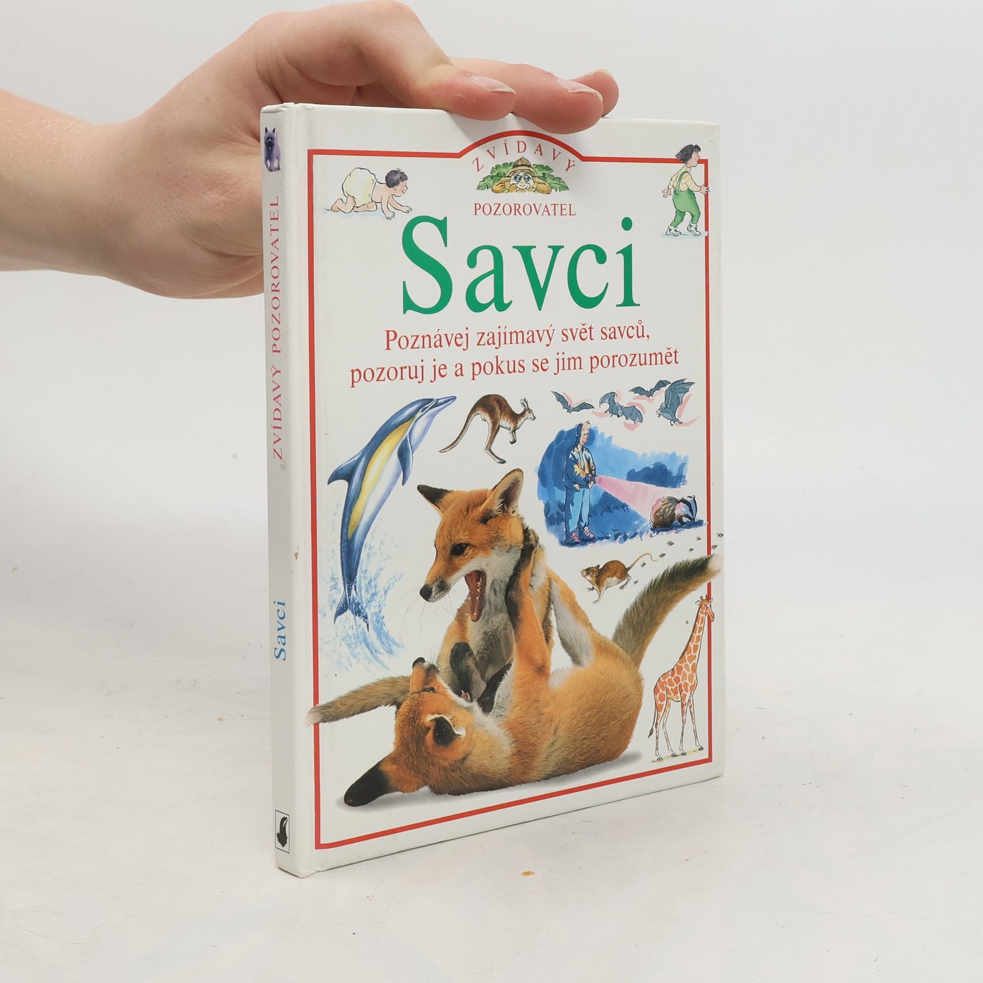 David Burnie Savci