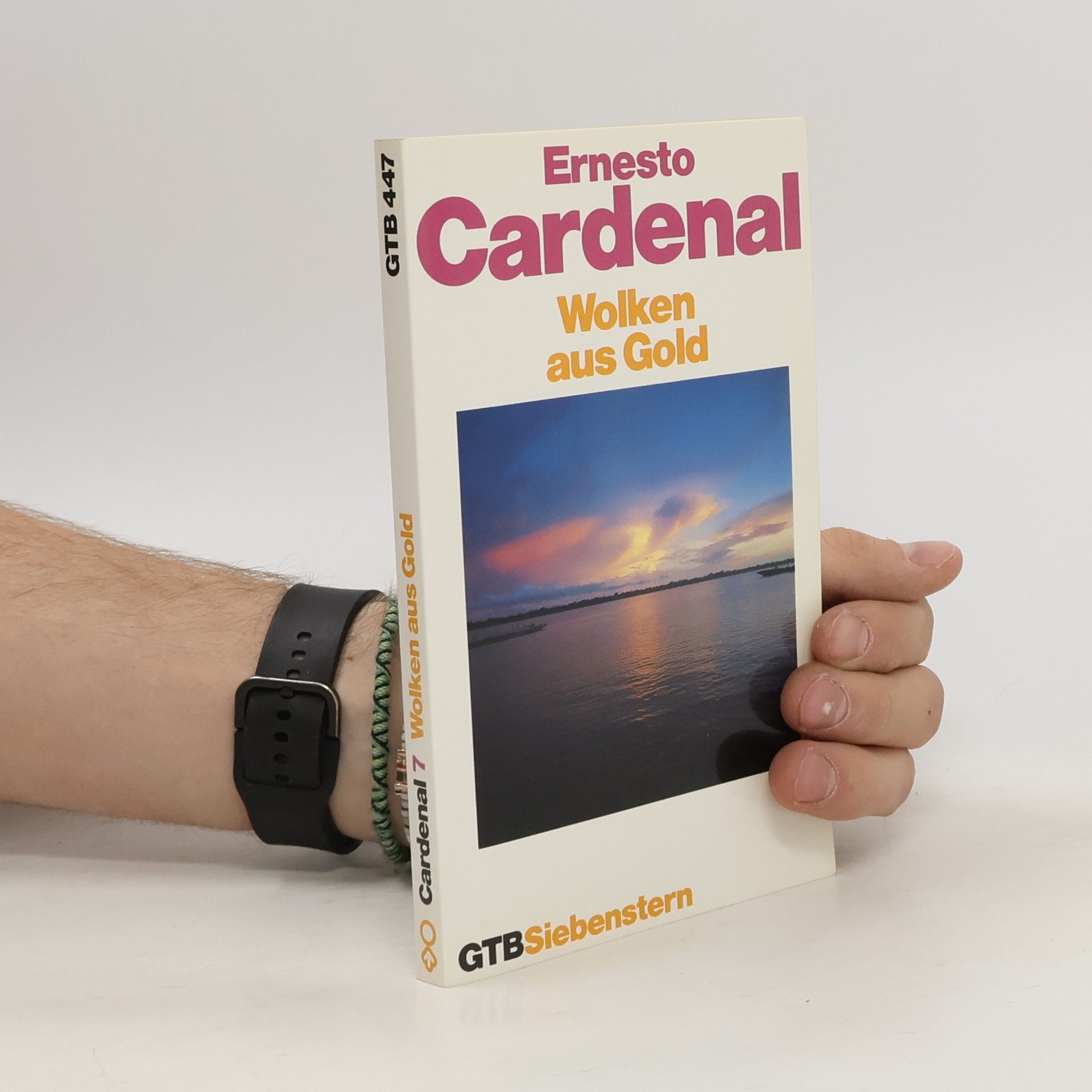 Ernesto Cardenal Das poetische Werk