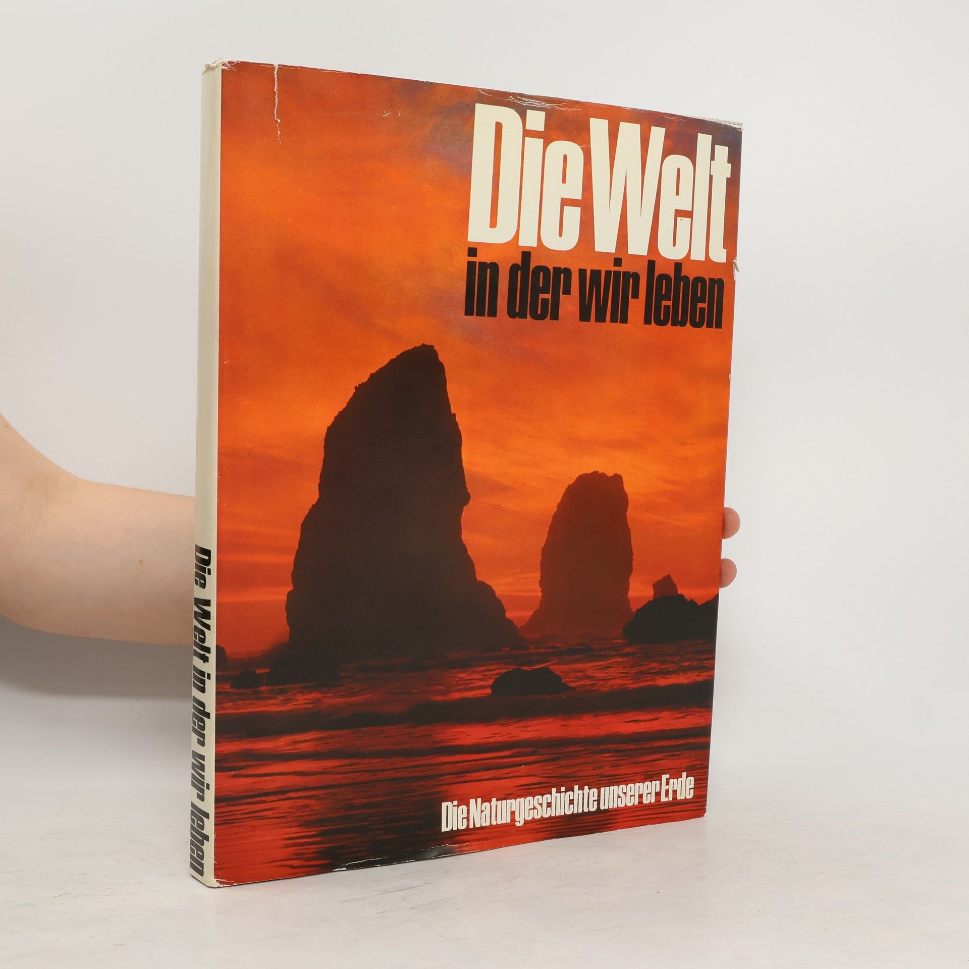Collective Die Welt in der wir leben
