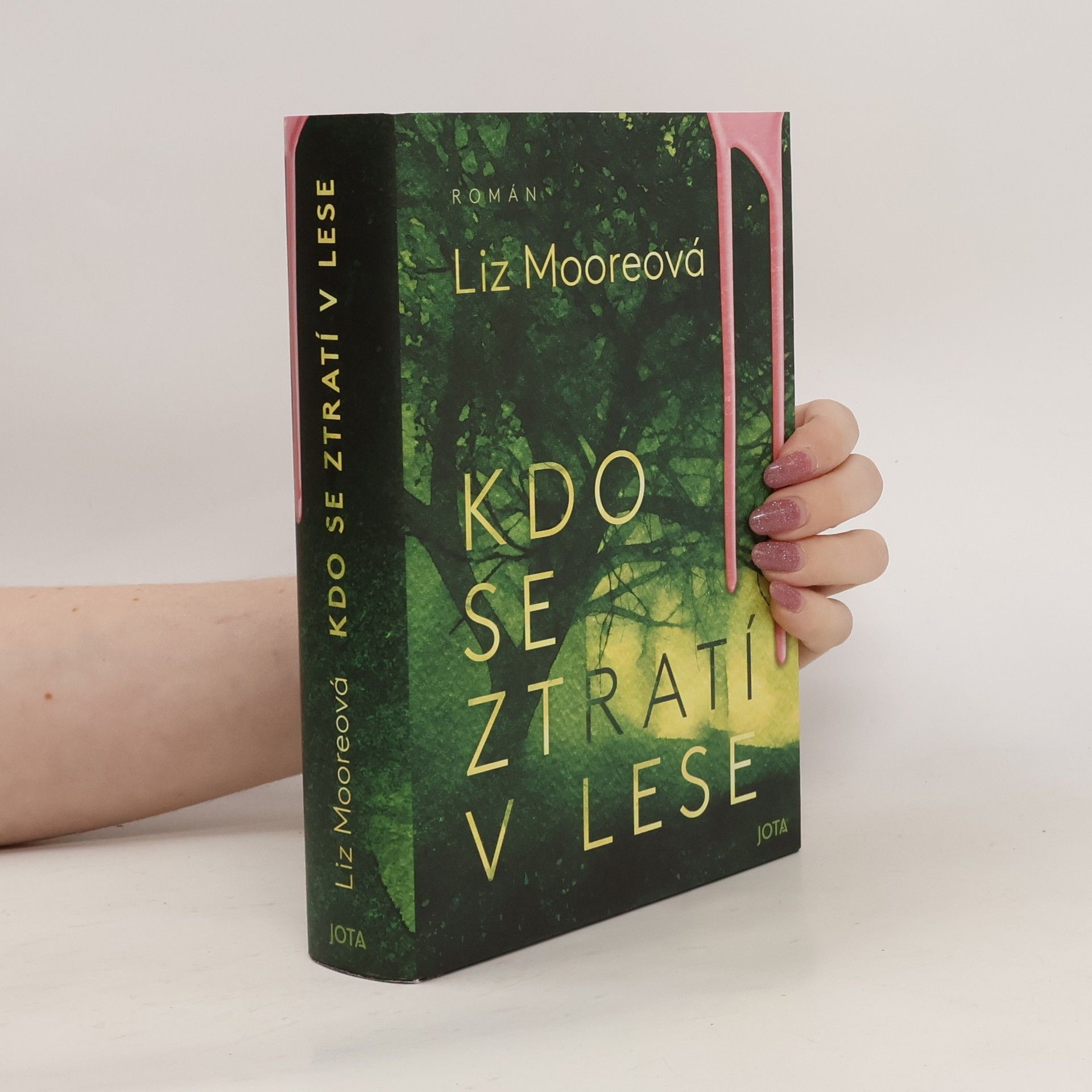 Liz Moore Kdo se ztratí v lese