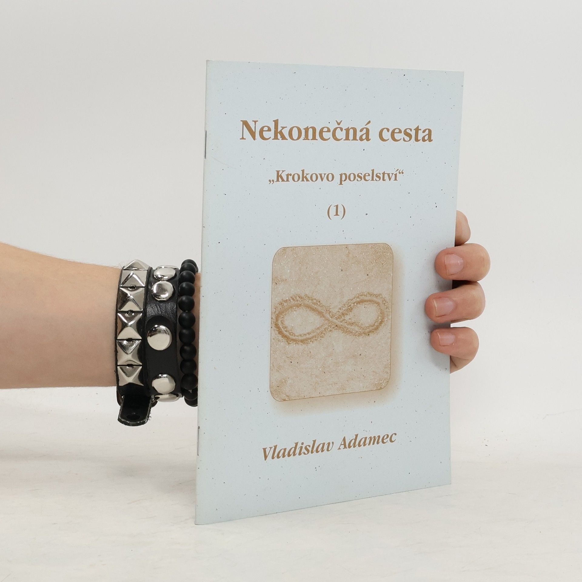 Vladislav Adamec Nekonečná cesta