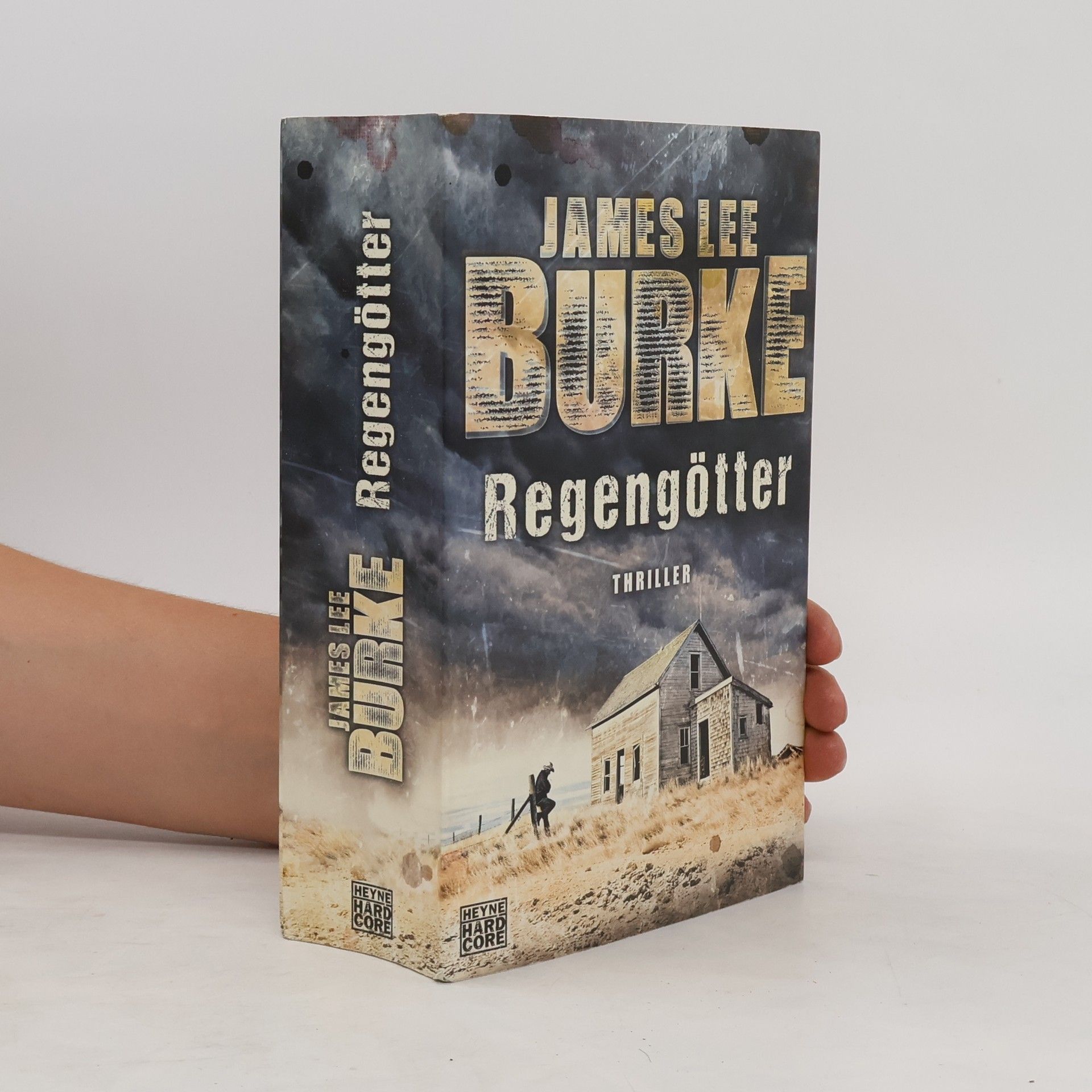 James Lee Burke Regengötter