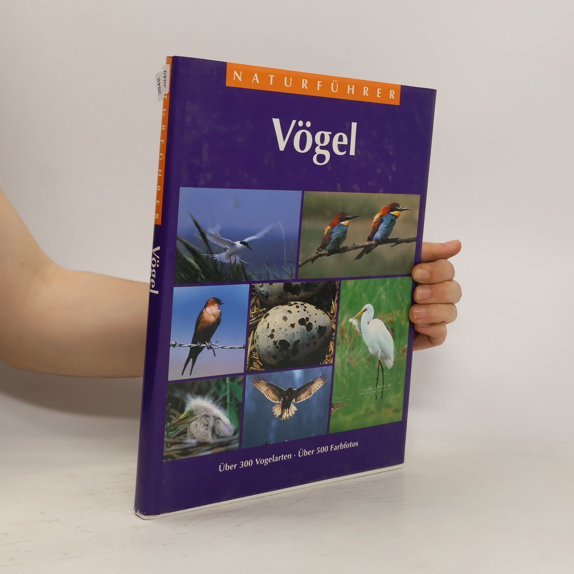 Autorenkollektiv Vögel