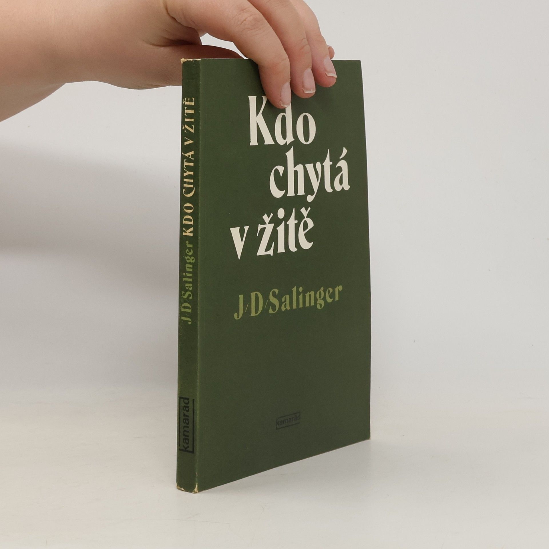 J. D. Salinger Kdo chytá v žitě