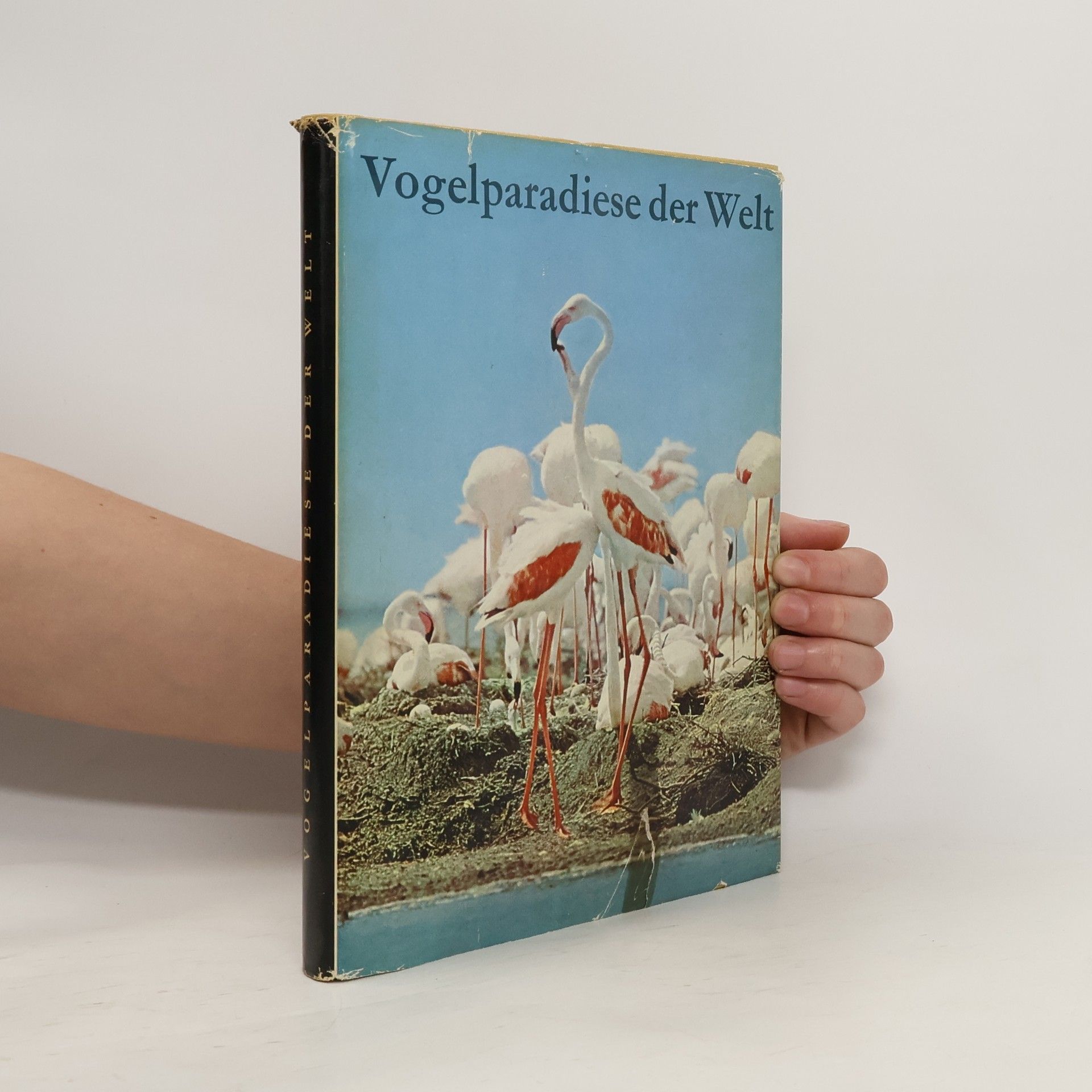 Kurt M. Bauer Vogelparadiese der Welt